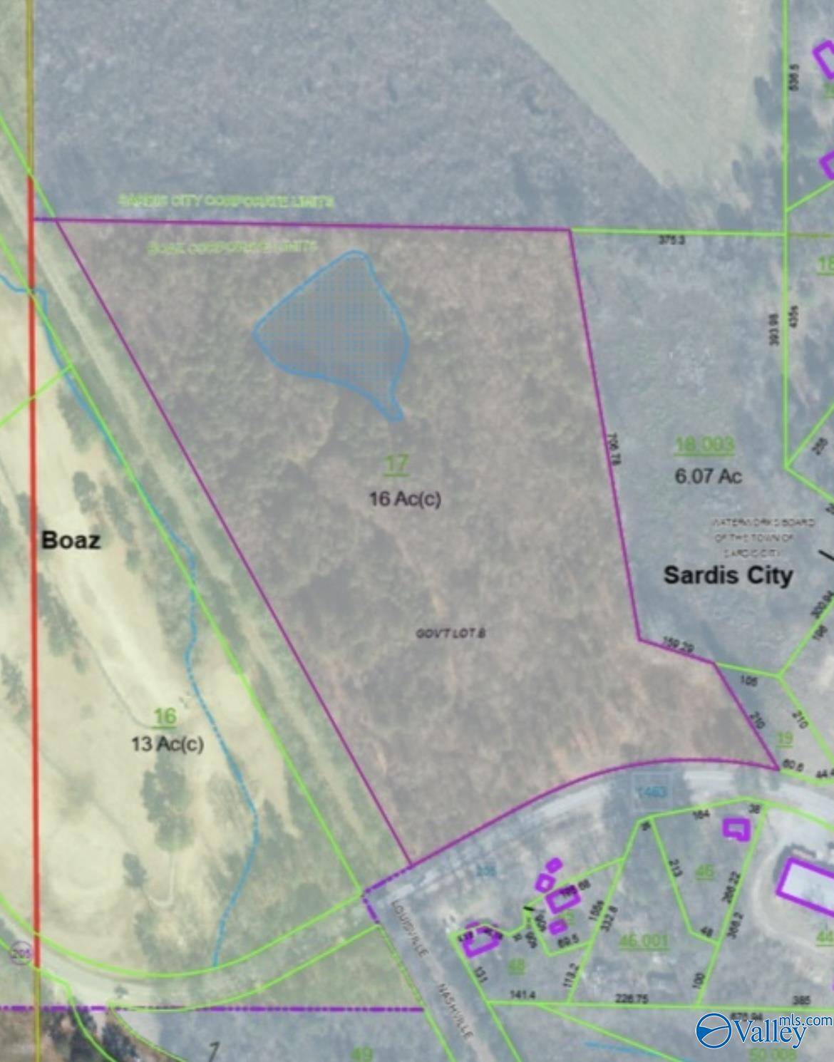 Boaz, AL 35956,16 acres Highway 205