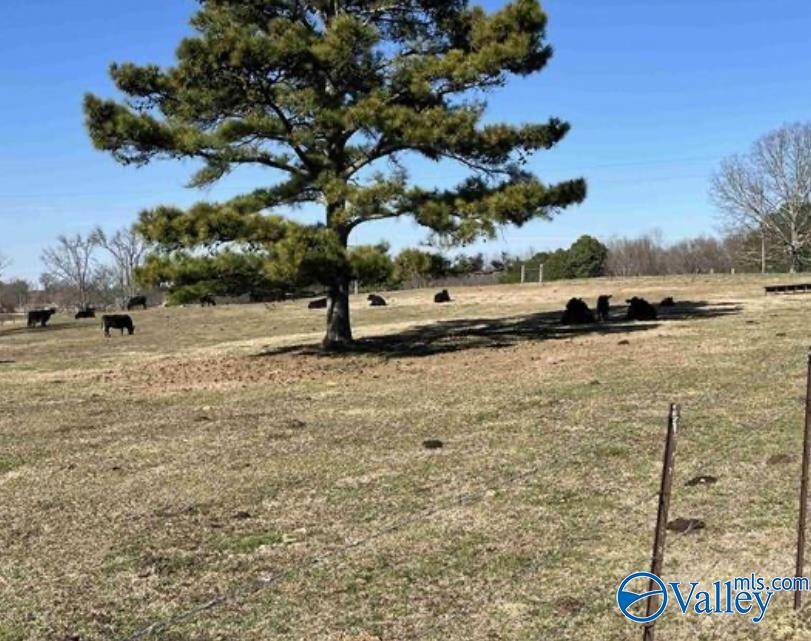 Mountainboro, AL 35956,38.74 Walter Whitt Rd