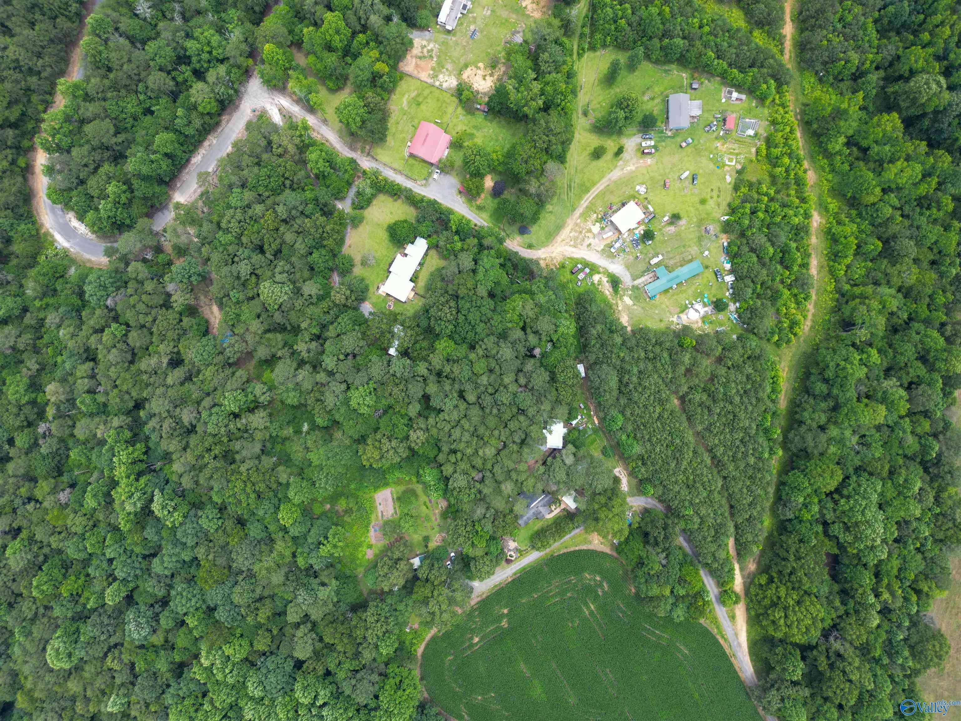 Fort Payne, AL 35967,.75 AC County Road 275