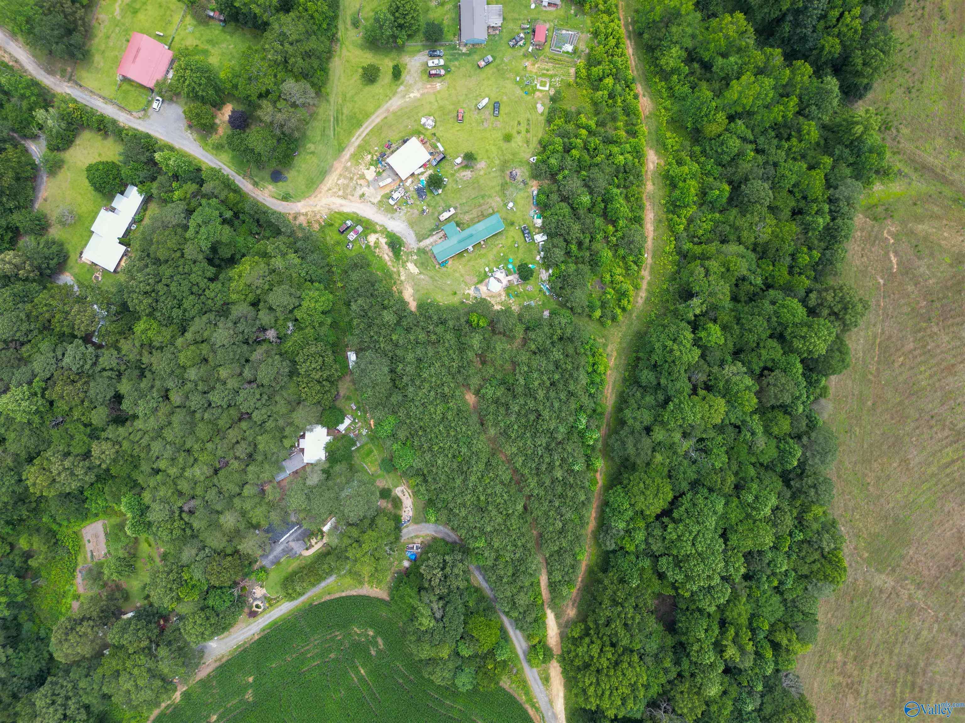 Fort Payne, AL 35967,1.10 ac County Road 275