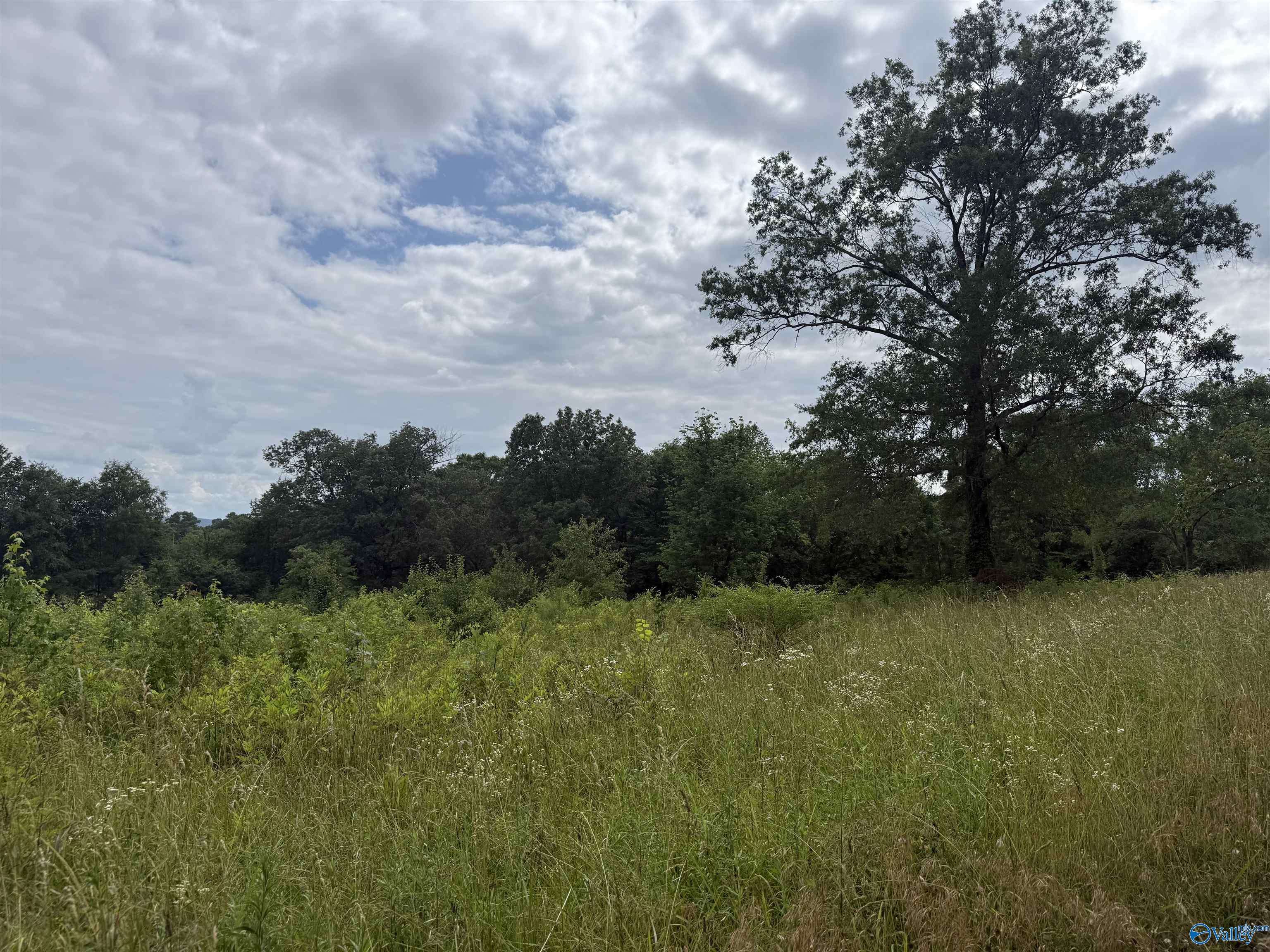 Guntersville, AL 35976,7210 Warrenton Road