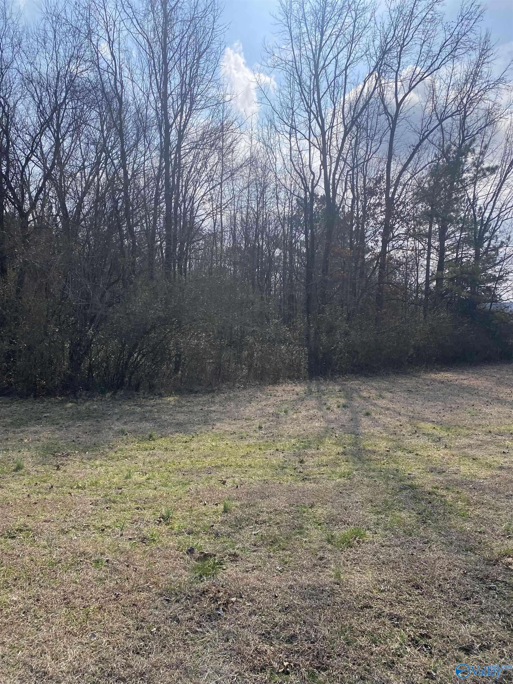 Union Grove, AL 35175,287 Thurman Road