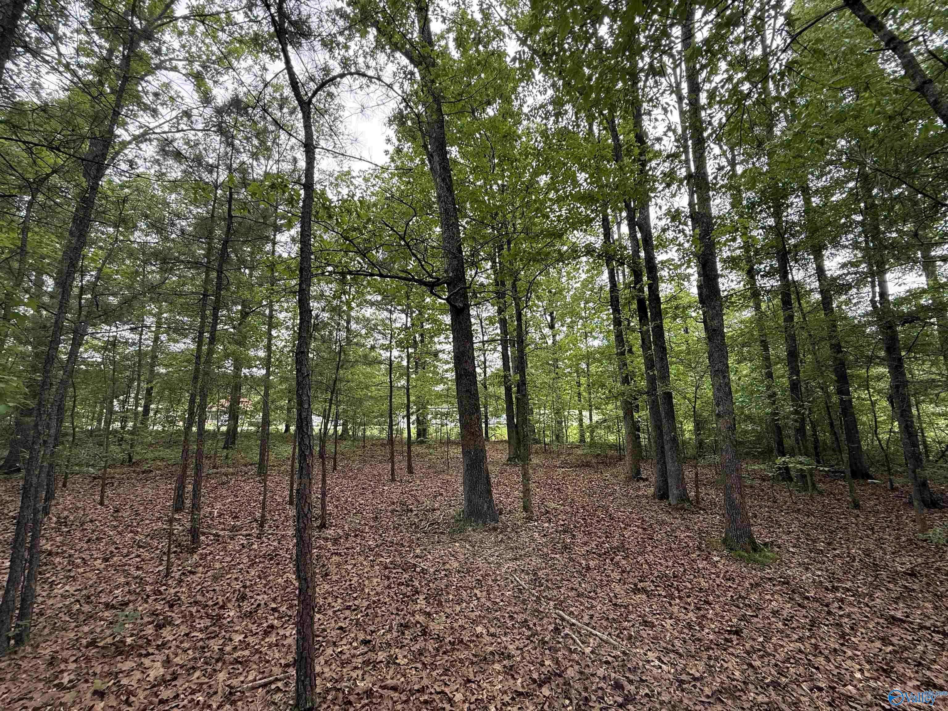 Centre, AL 35960,6.8 AC Alabama Highway 9