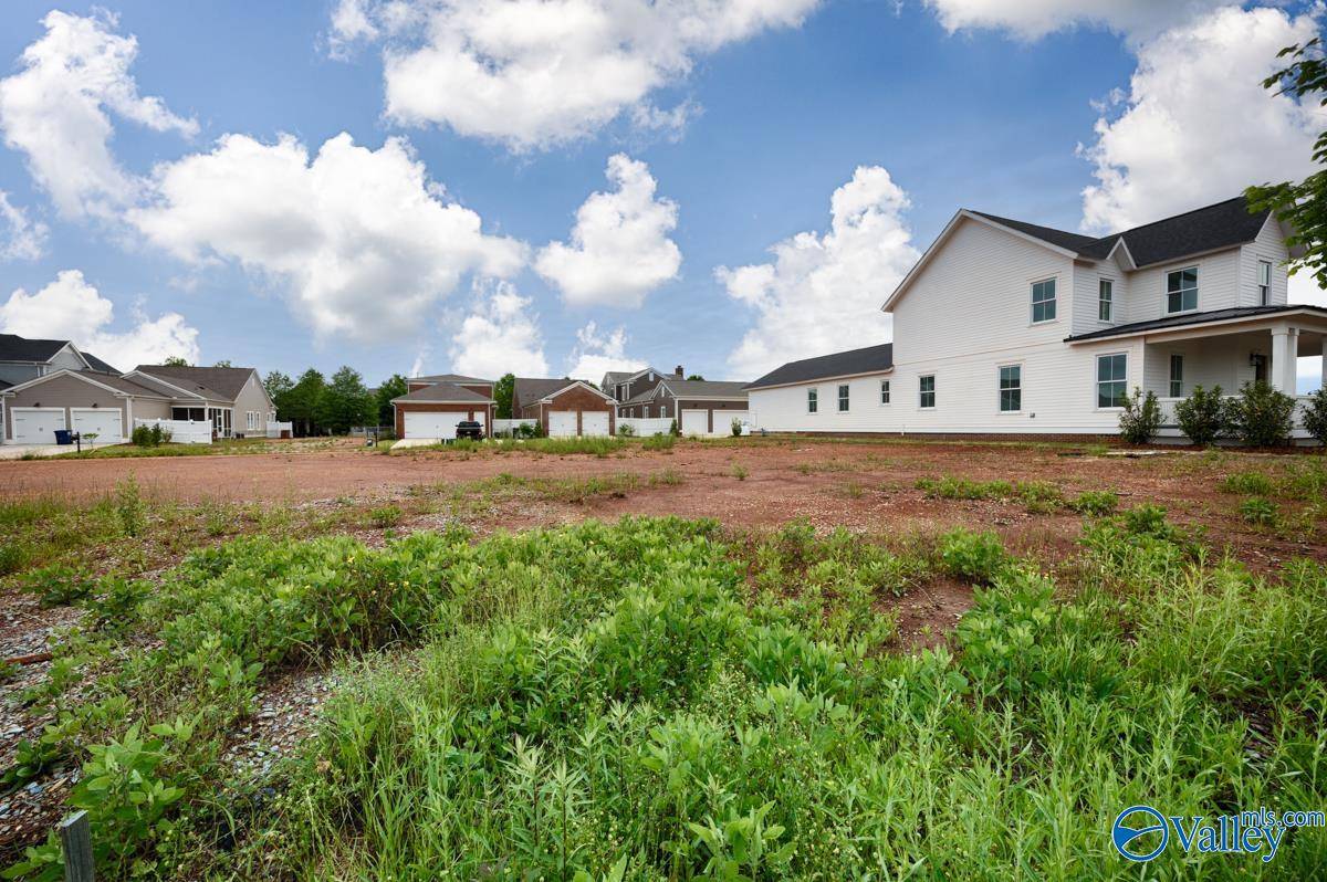 Madison, AL 35756,141 Steiner Street