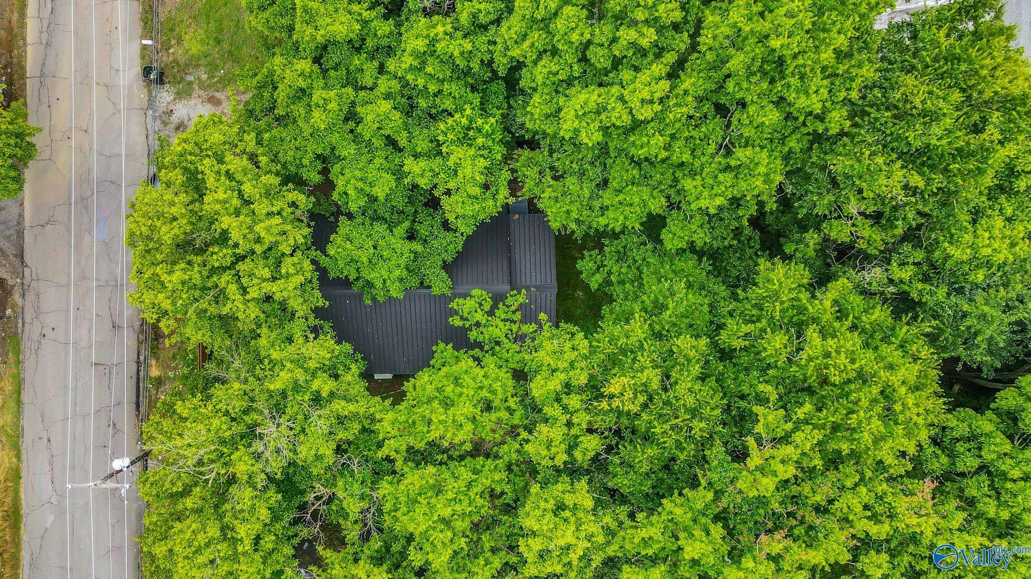 Scottsboro, AL 35768,260 E Maple Avenue