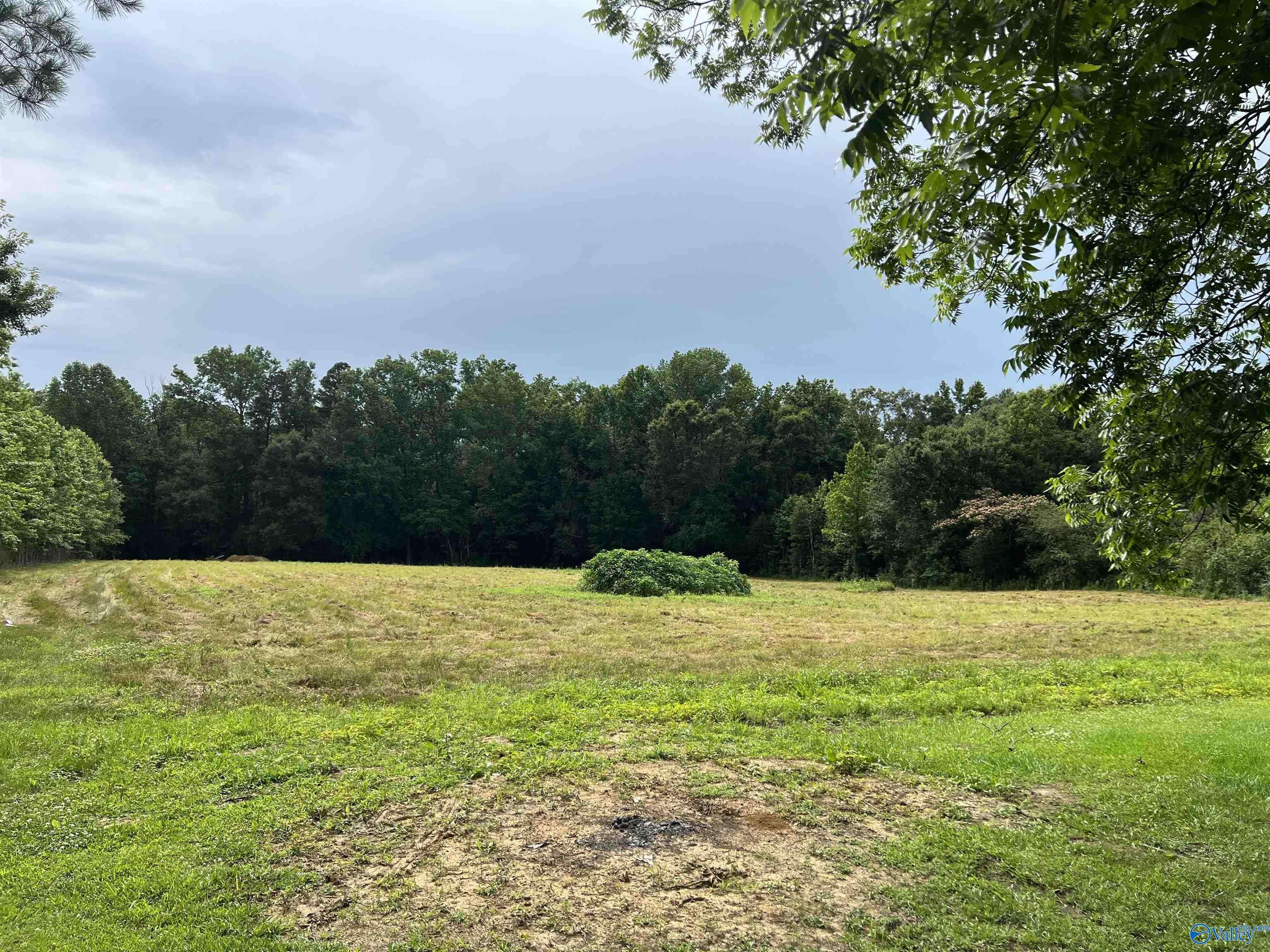Boaz, AL 35956,2331 Leeth Gap Cutoff Road