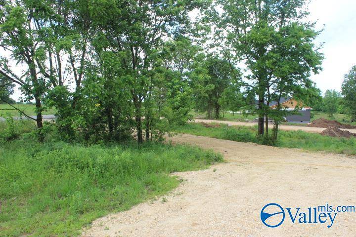 Rainsville, AL 35986,1907 County Road 180