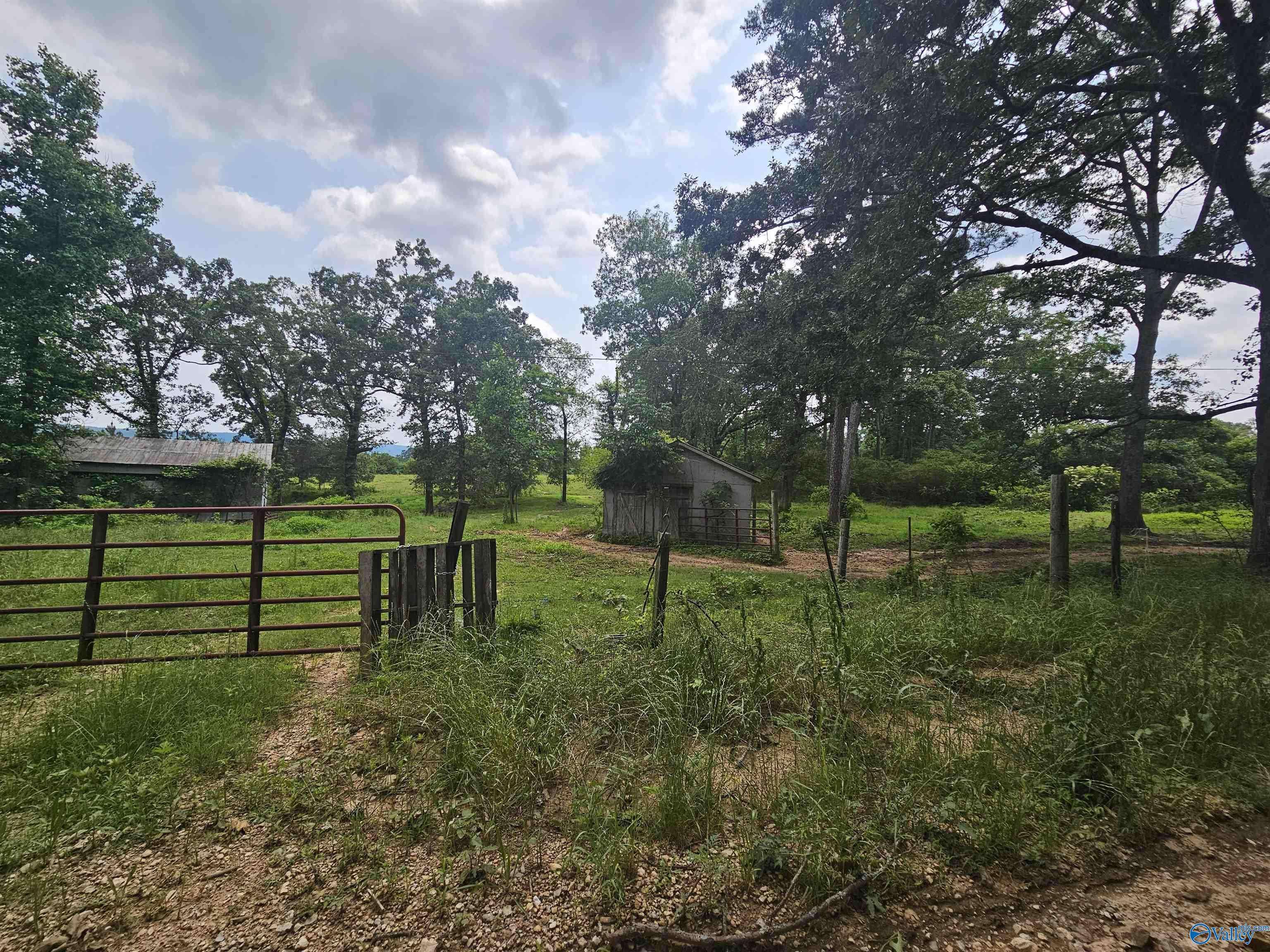 Collinsville, AL 35961,1148 County Road 865