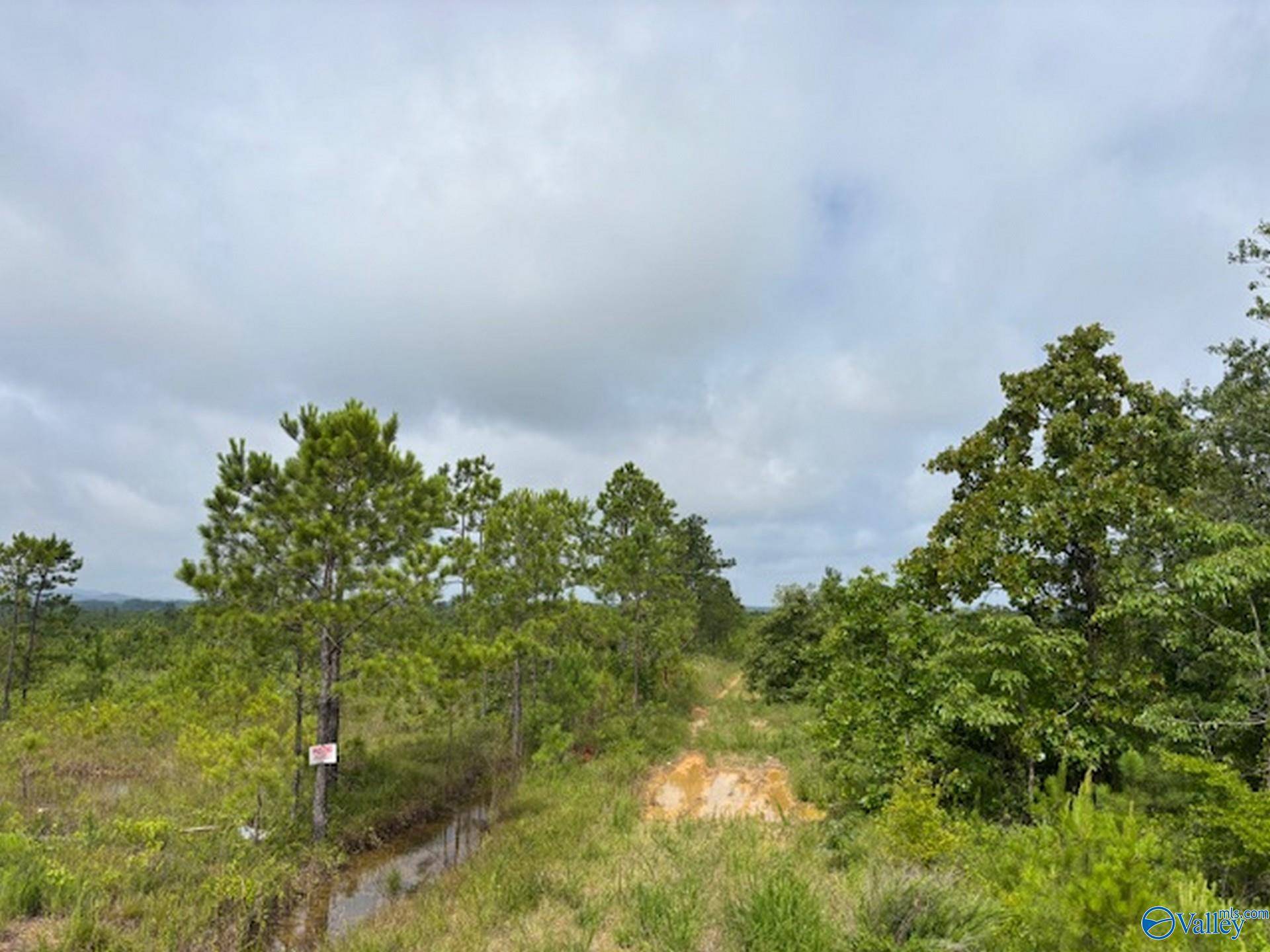 Gadsden, AL 35903,Tract 2 Tom Cat Road