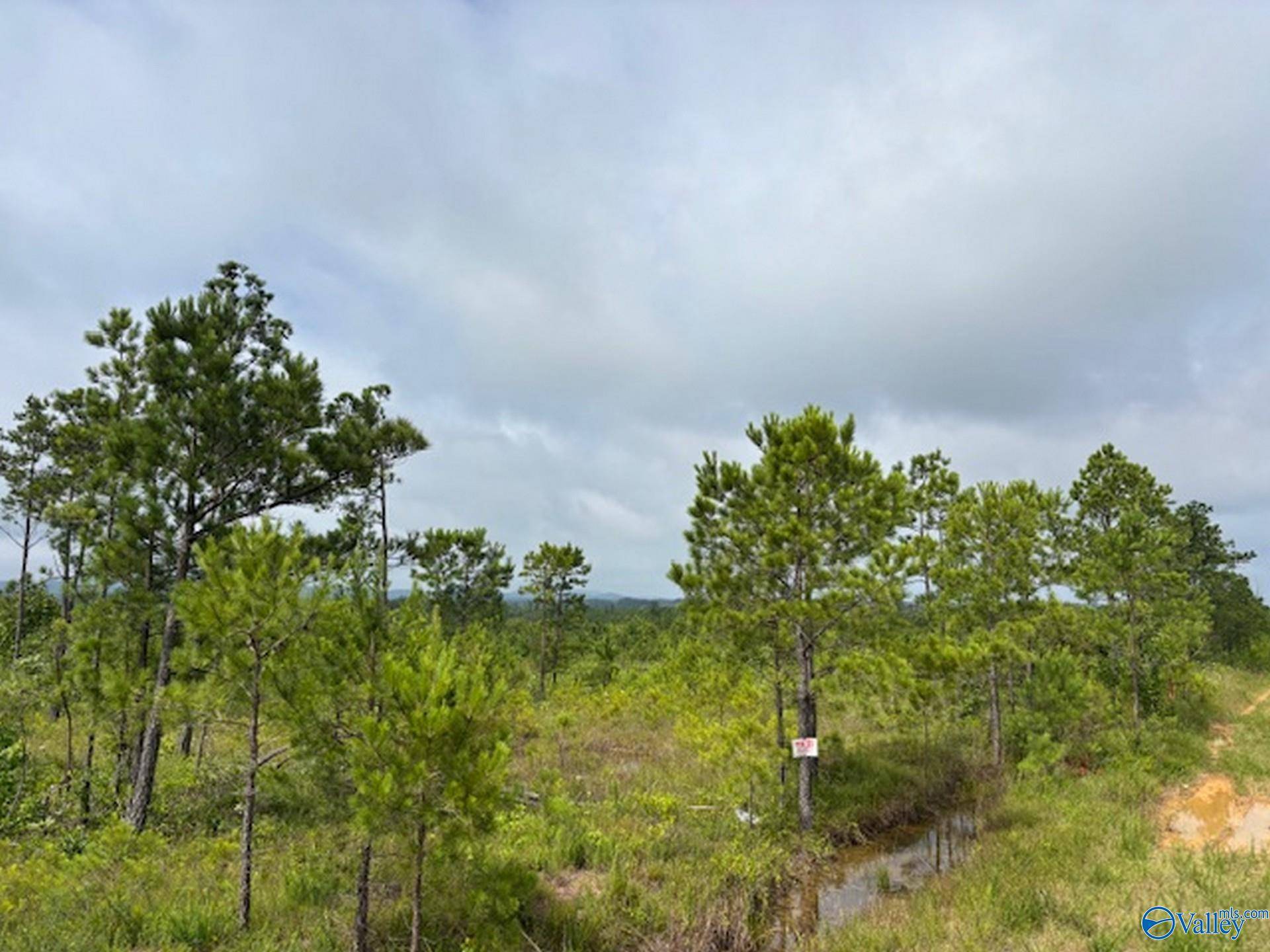 Gadsden, AL 35903,Tract 2 Tom Cat Road