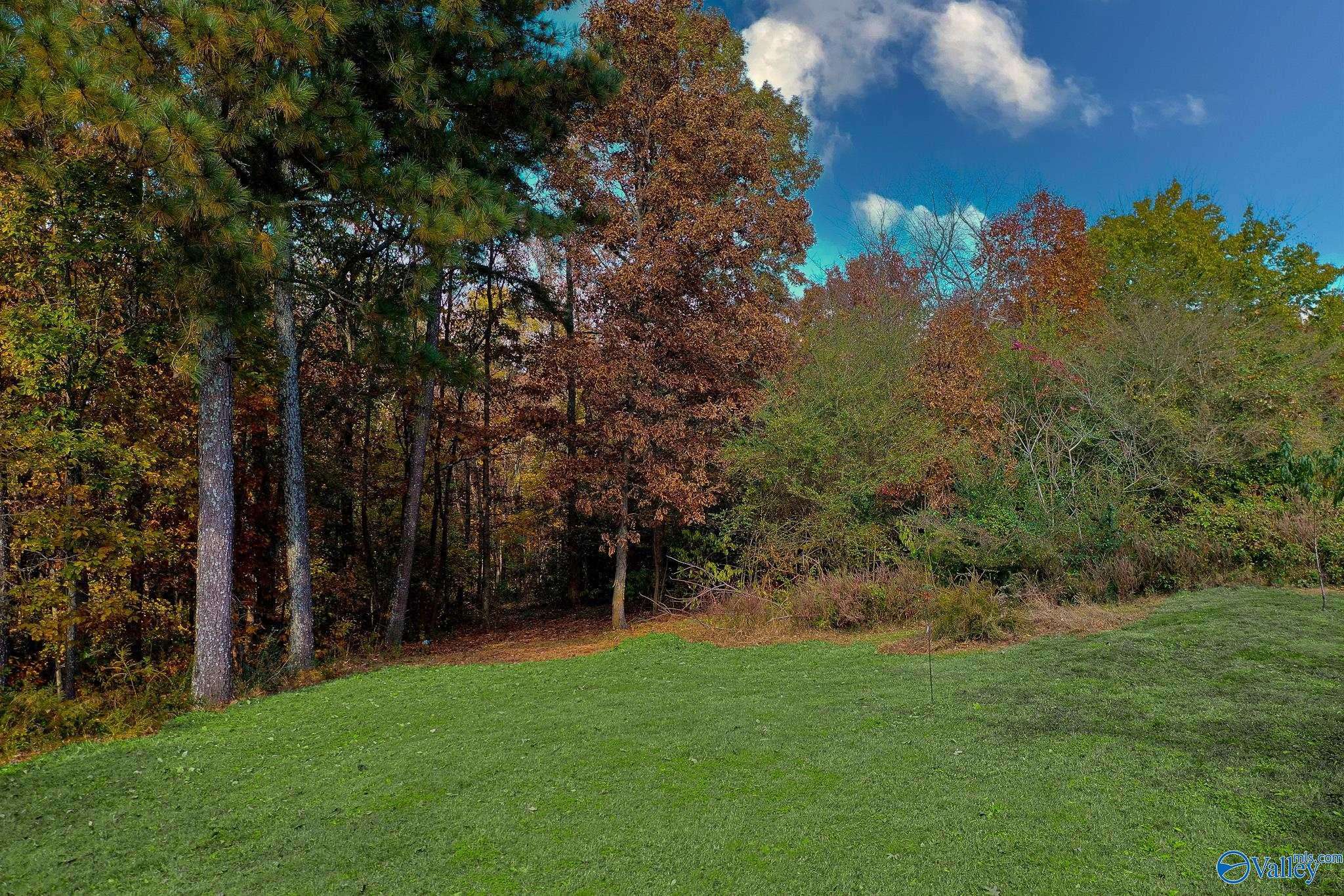 Union Grove, AL 35175,158 Bean Drive