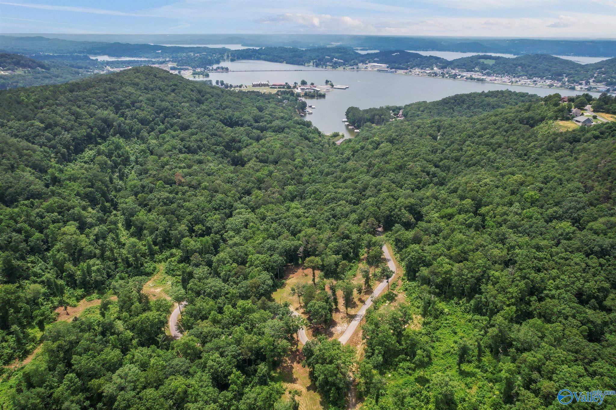 Guntersville, AL 35976,Lot 1 Wyeth Drive