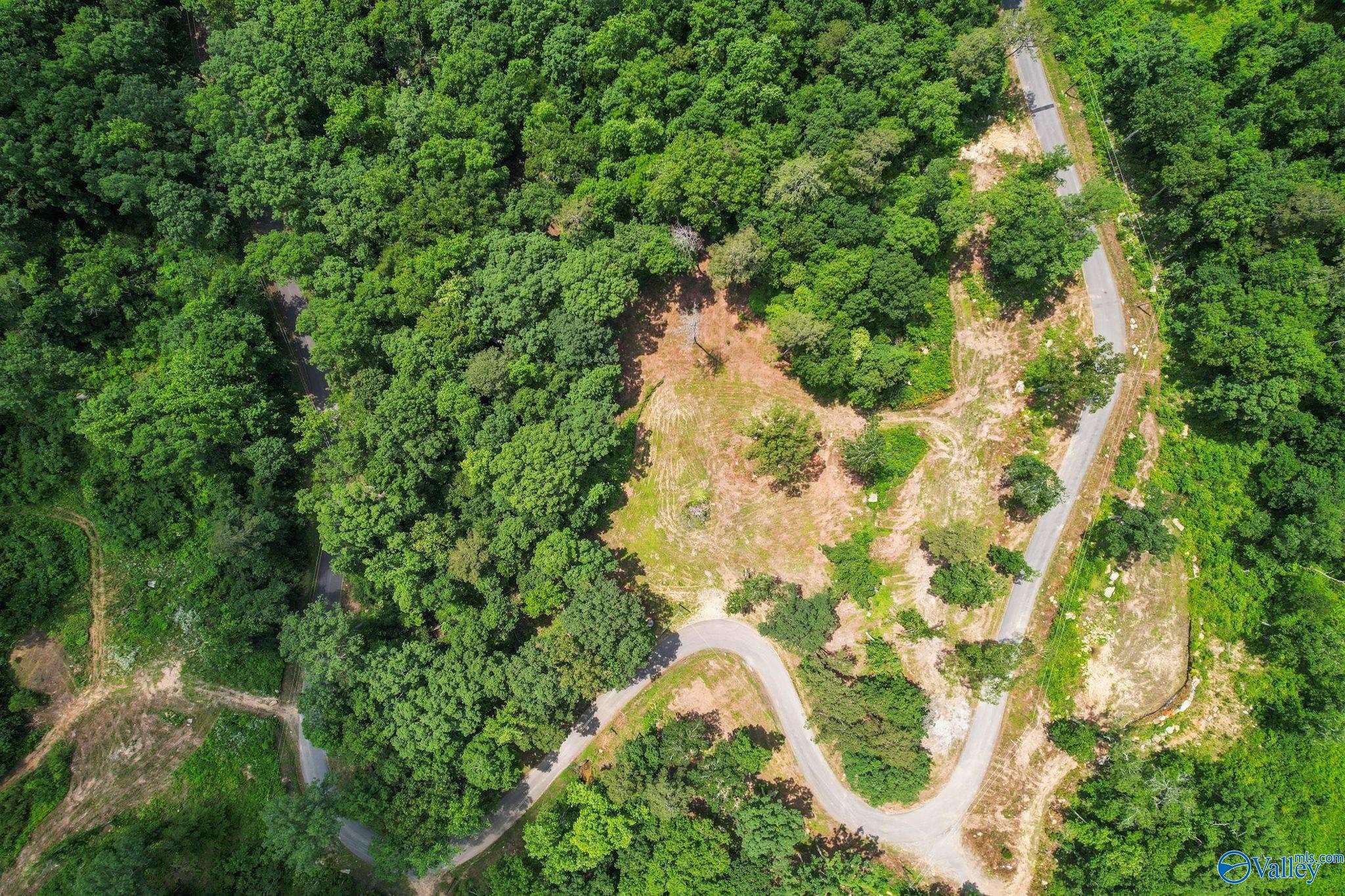 Guntersville, AL 35976,Lot 12 Wyeth Drive