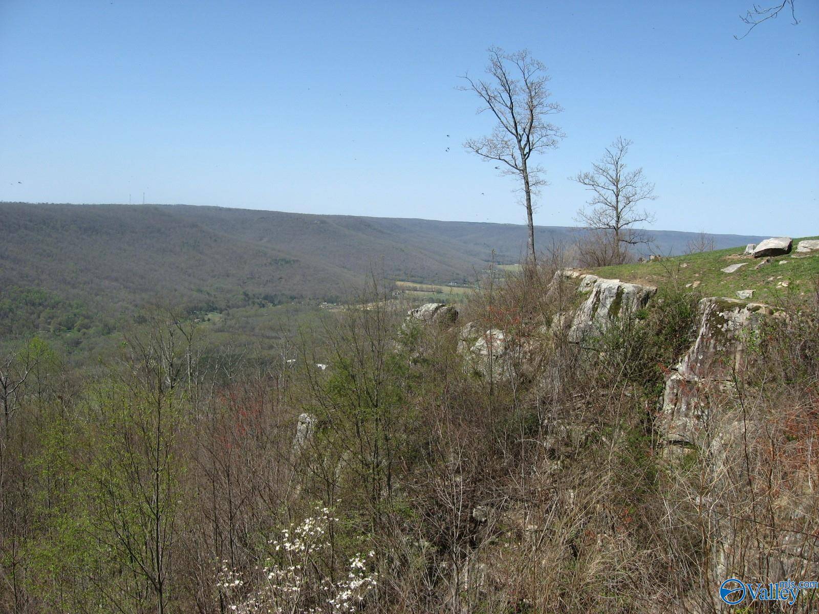 Jasper, TN 37347,3945 Crockett Pointe
