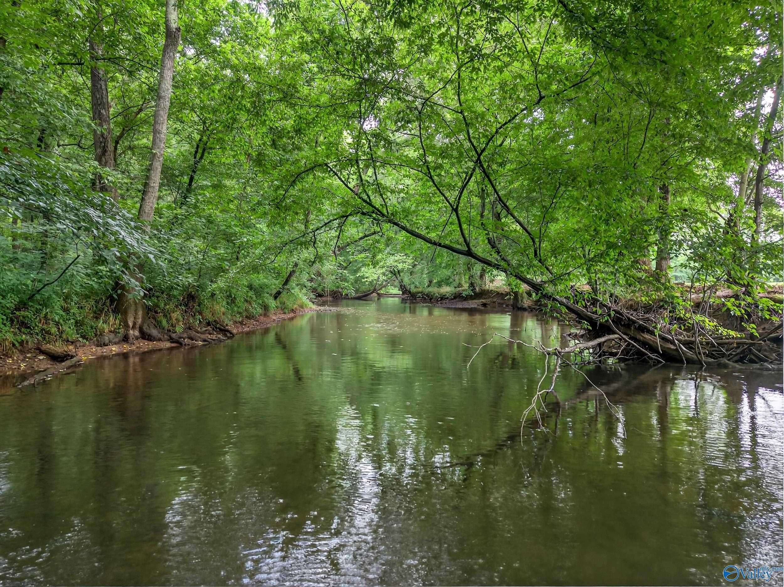 Toney, AL 35773,2605 Ready Section Road