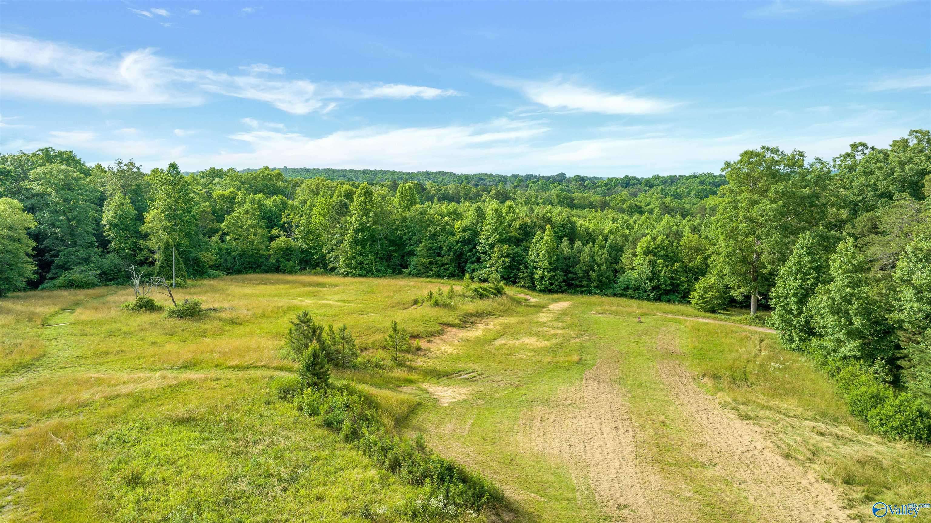 Mentone, AL 35984,2546 Hwy 117