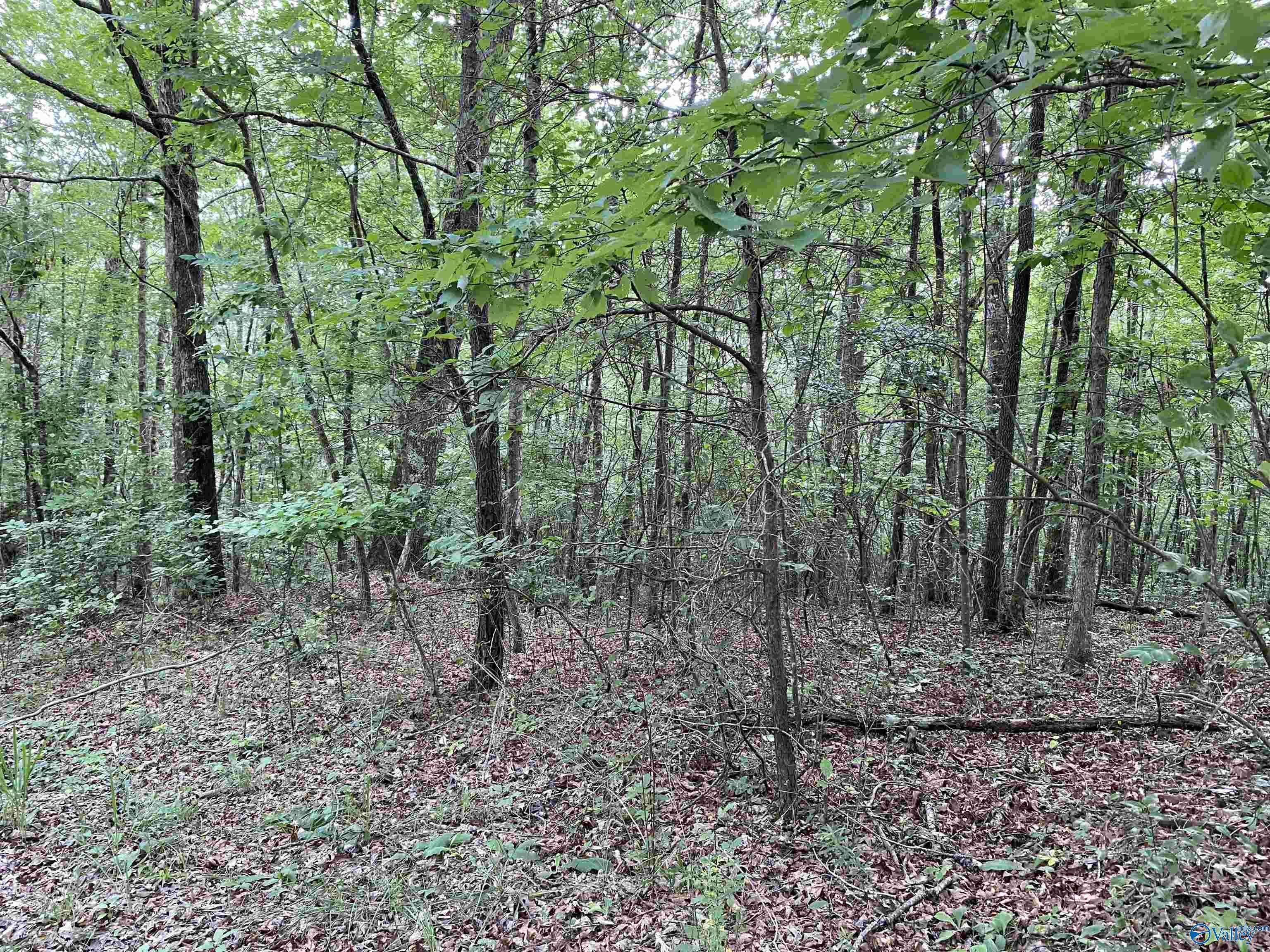 Fort Payne, AL 35967,Lot 7 Bear Creek Trail