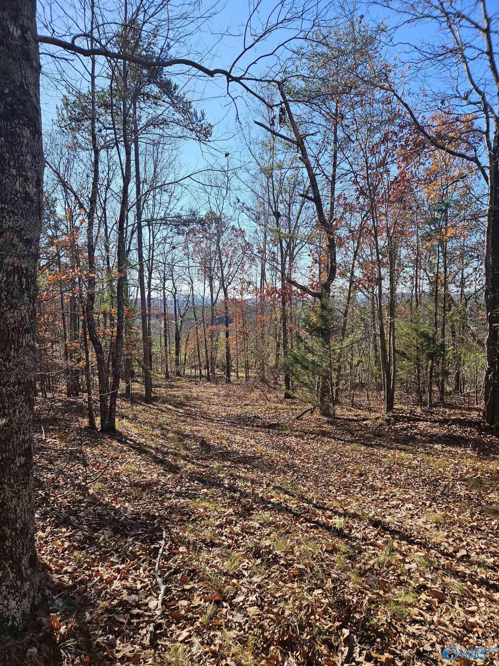 Piedmont, AL 36272,1340 County Road 45