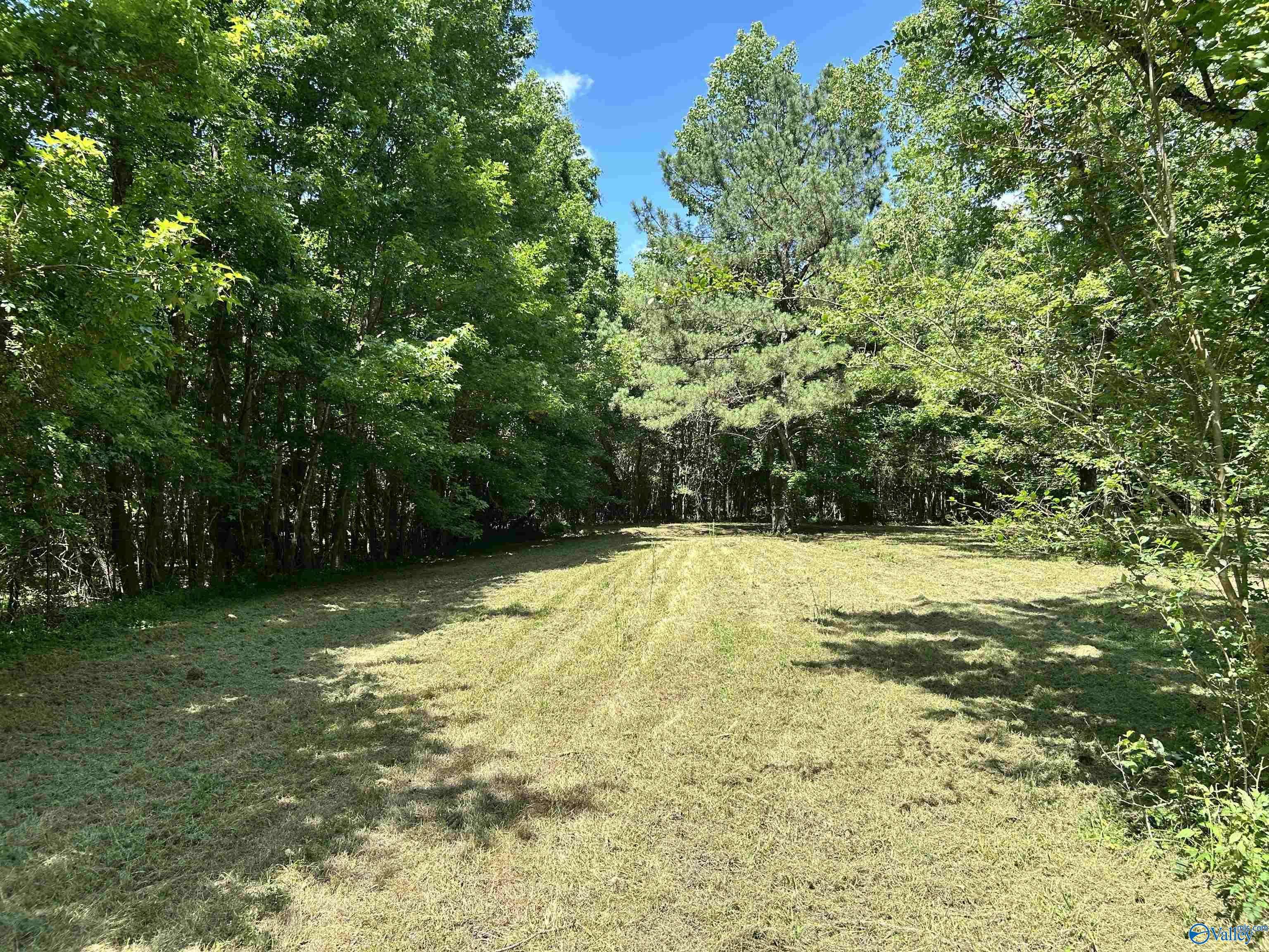 Cedar Bluff, AL 35959,135 County Road 692
