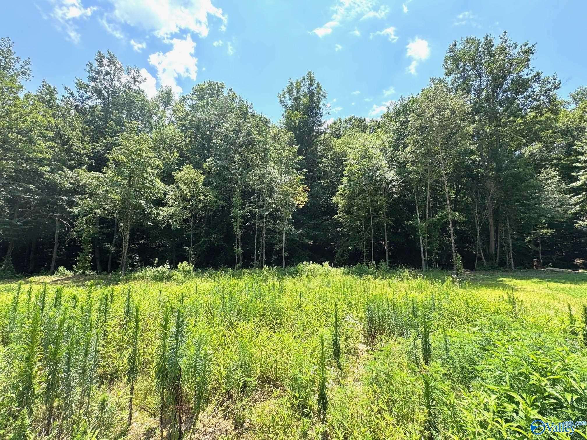 Athens, AL 35614,20977 Cairo Hollow Road