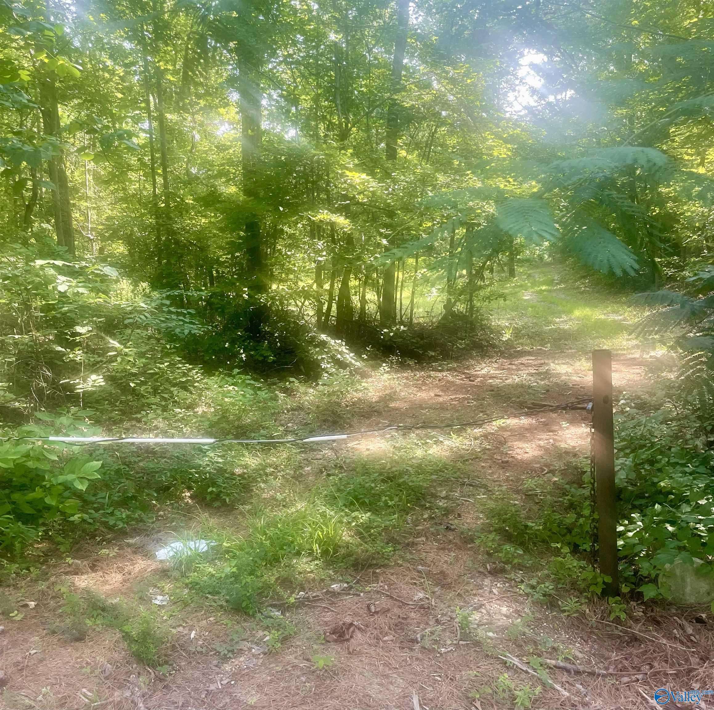 West Blocton, AL 35184,11810 County Road 9