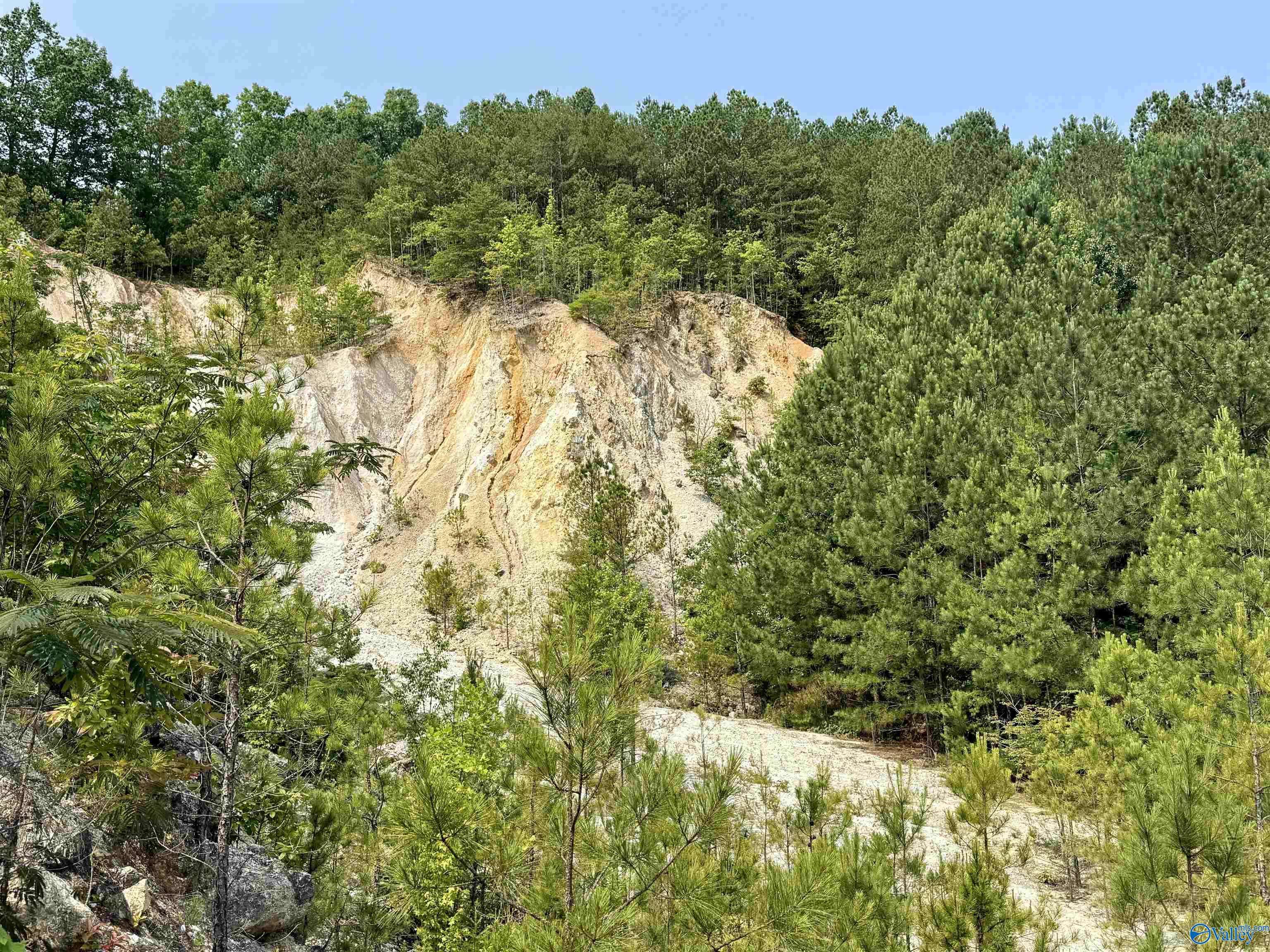 Gadsden, AL 35901,13.5 +/- Acres Druid Avenue
