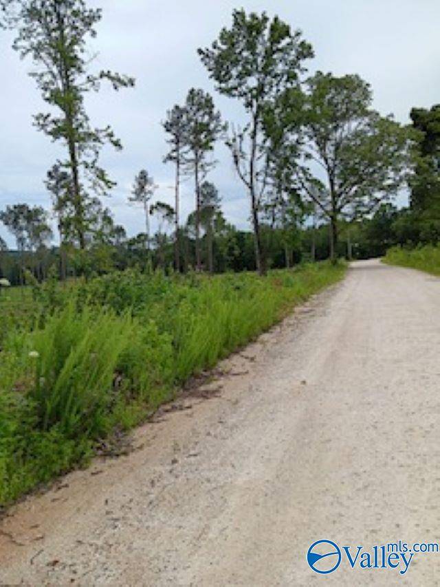 Gaylesville, AL 35973,Lot 18 County Road 91
