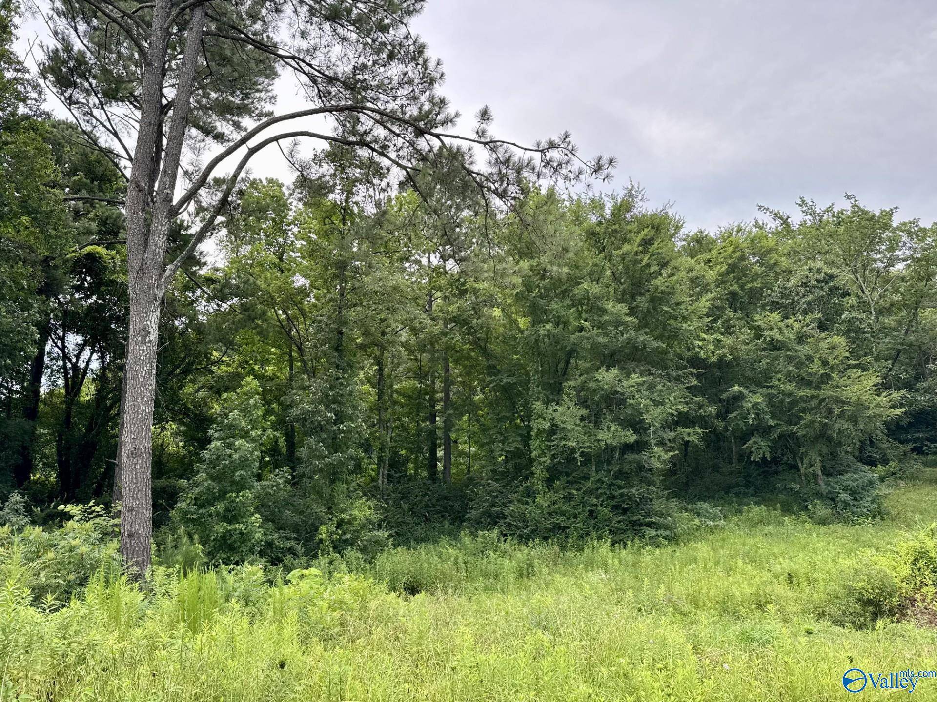Decatur, AL 35603,4250 Bennich Road