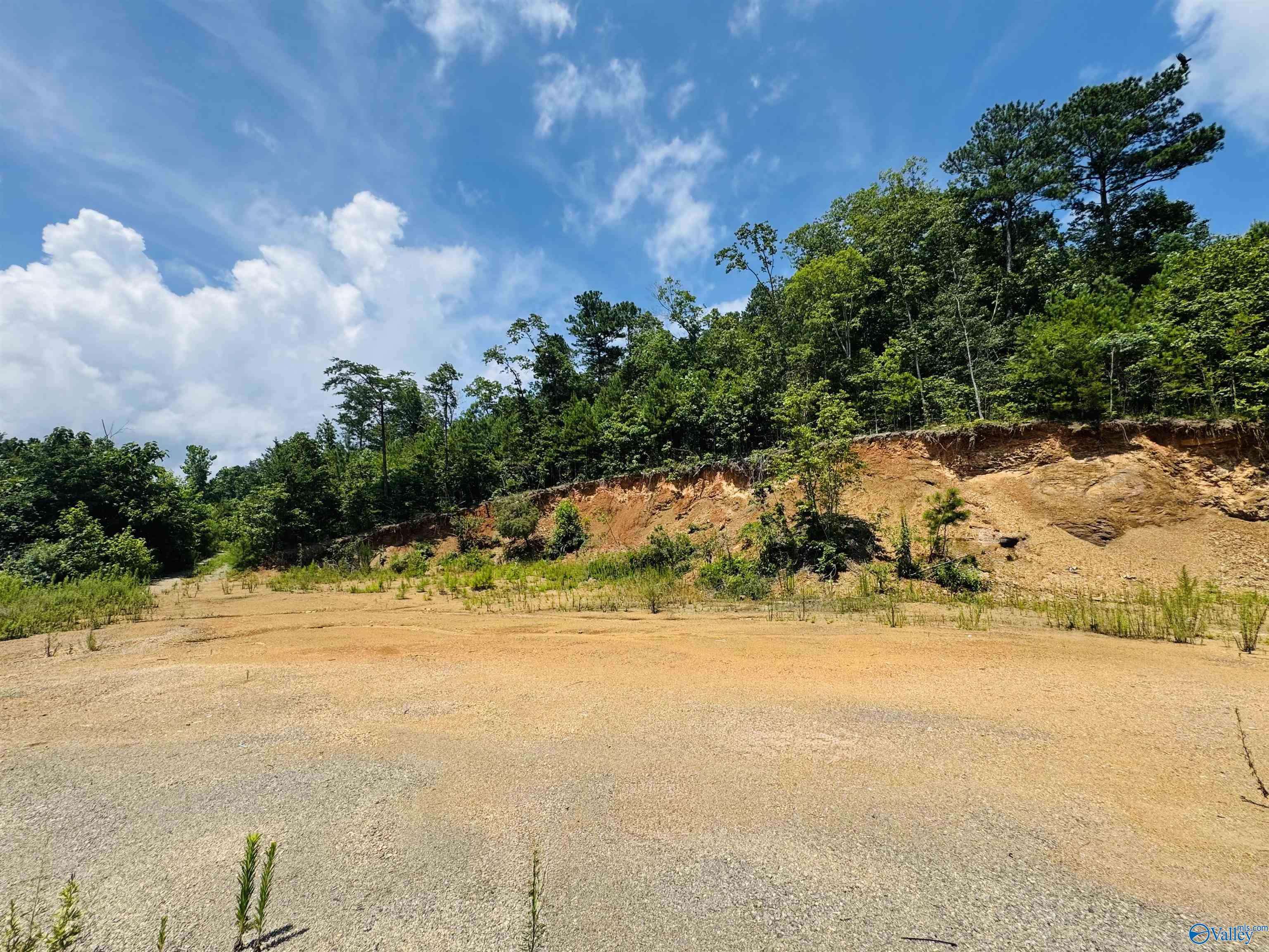 Eva, AL 35621,21.85 Acres Tar Kil Road