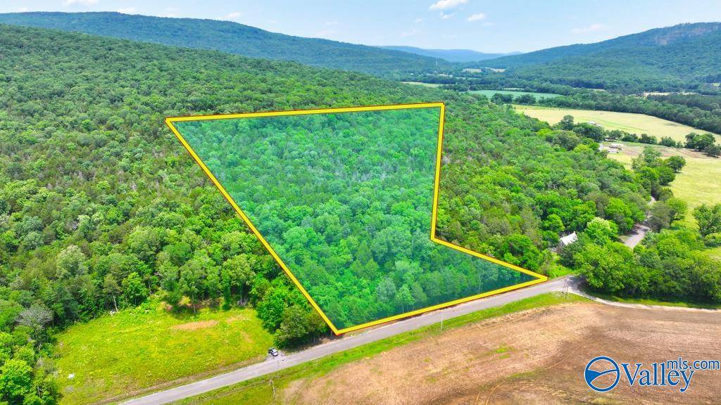 Woodville, AL 35776,TBD County Road 30