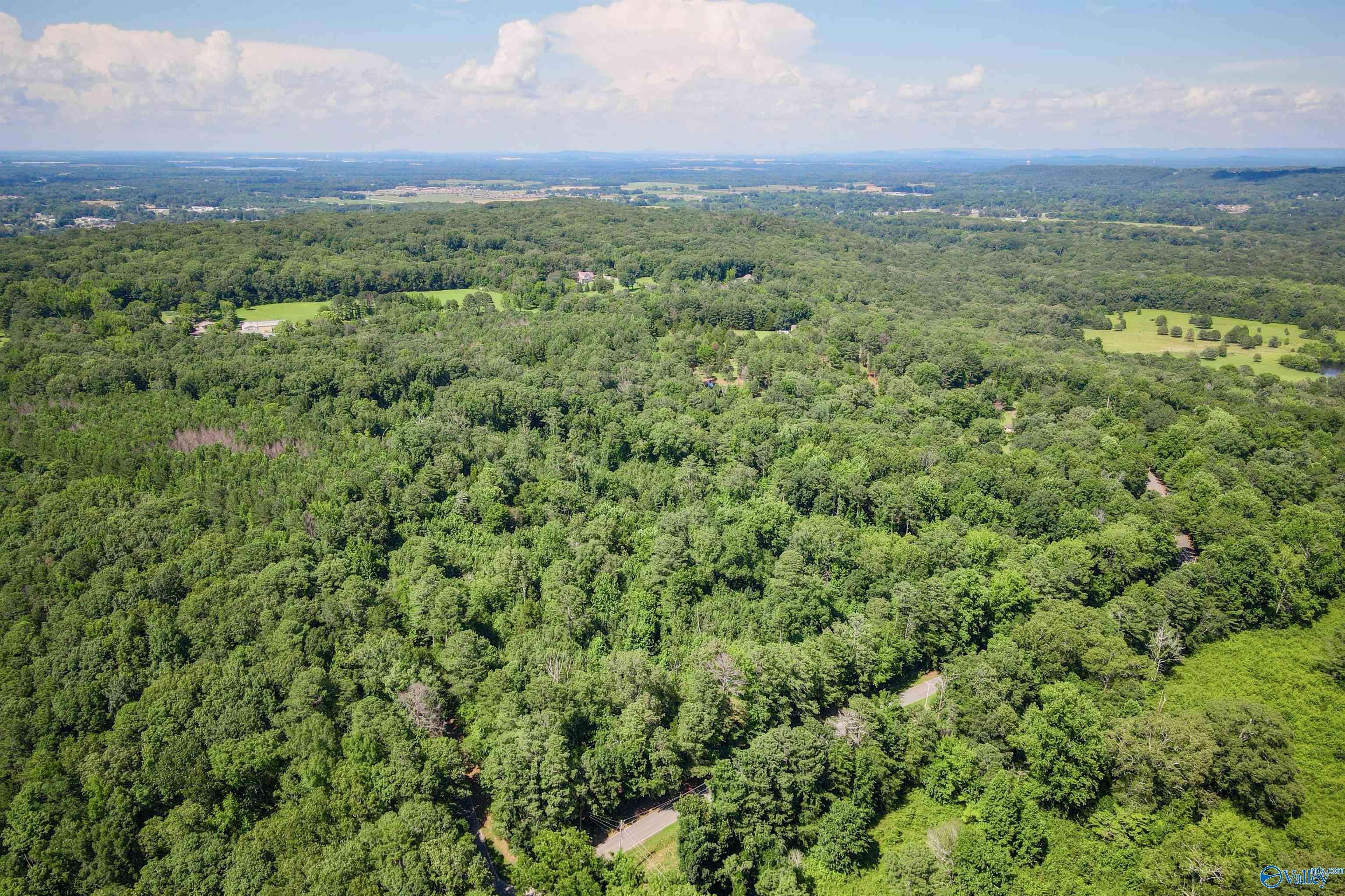 Decatur, AL 35603,5 Acres on Crusher Road