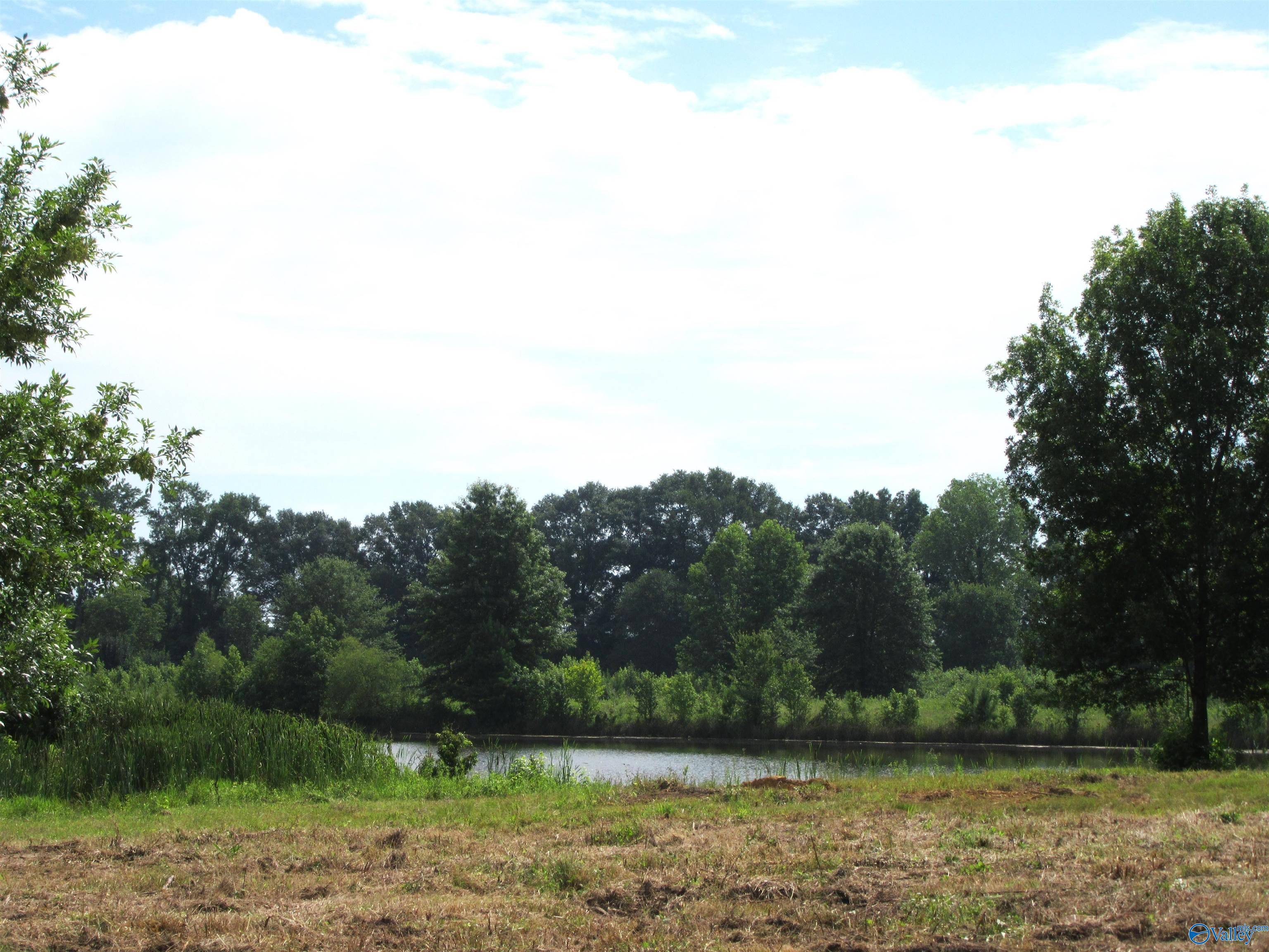 Moulton, AL 35650,Lot 12 County Road 487