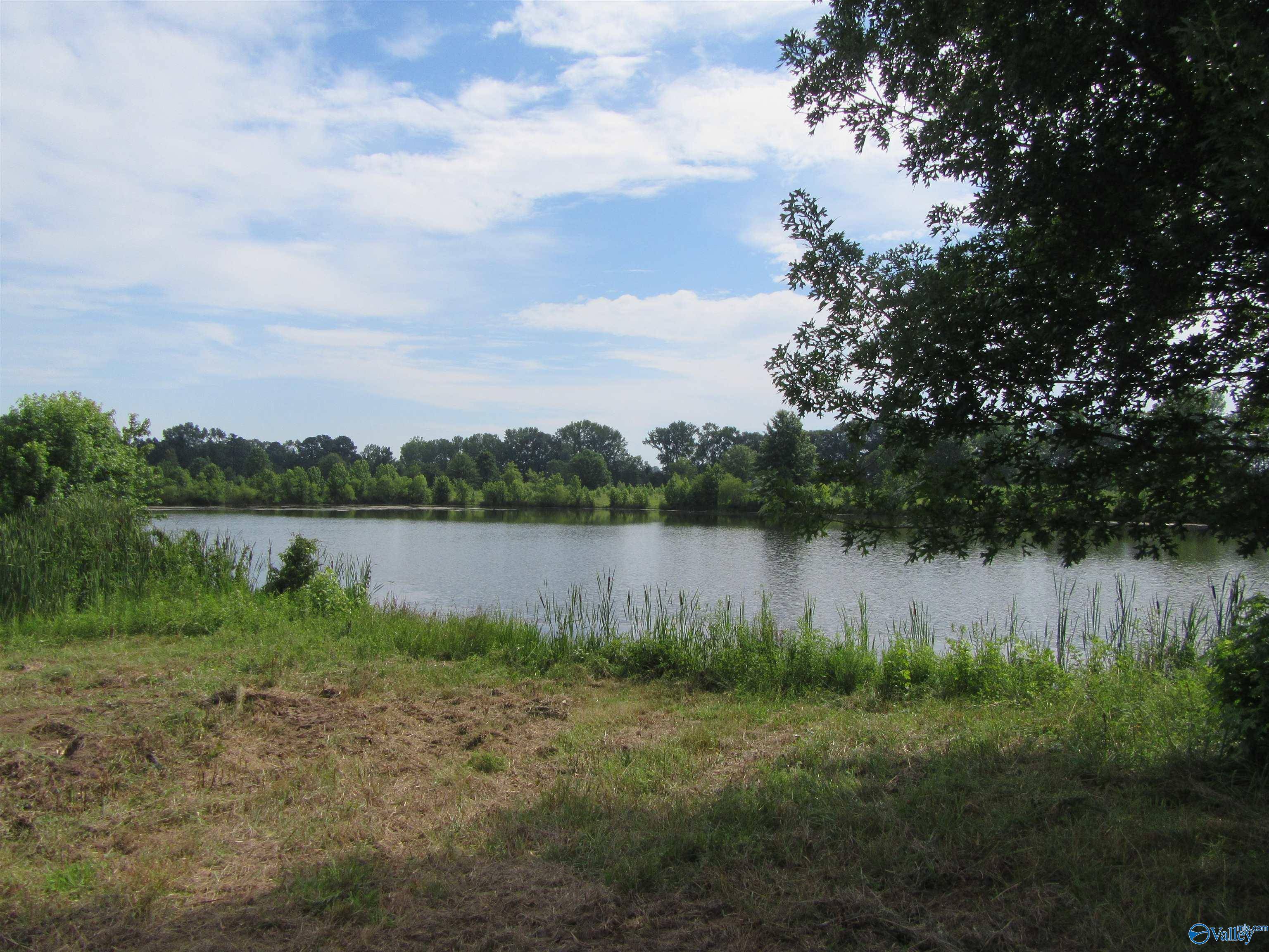 Moulton, AL 35650,Lot 12 County Road 487