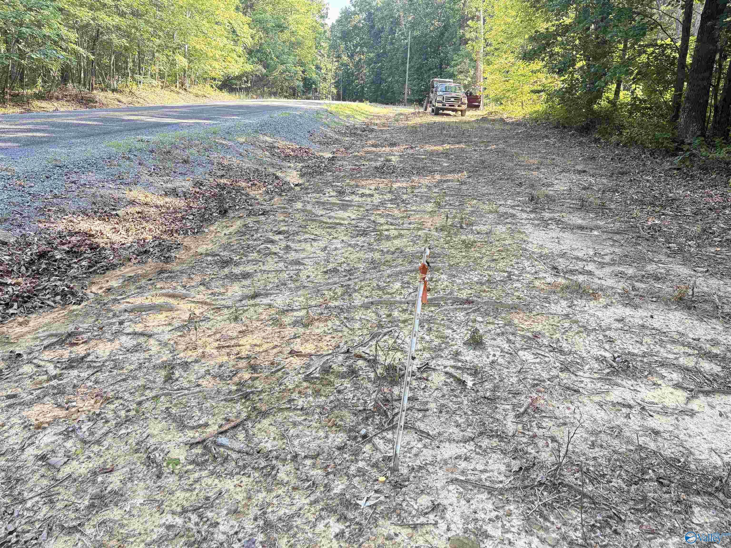 Princeton, AL 35766,32 ac County Road 303