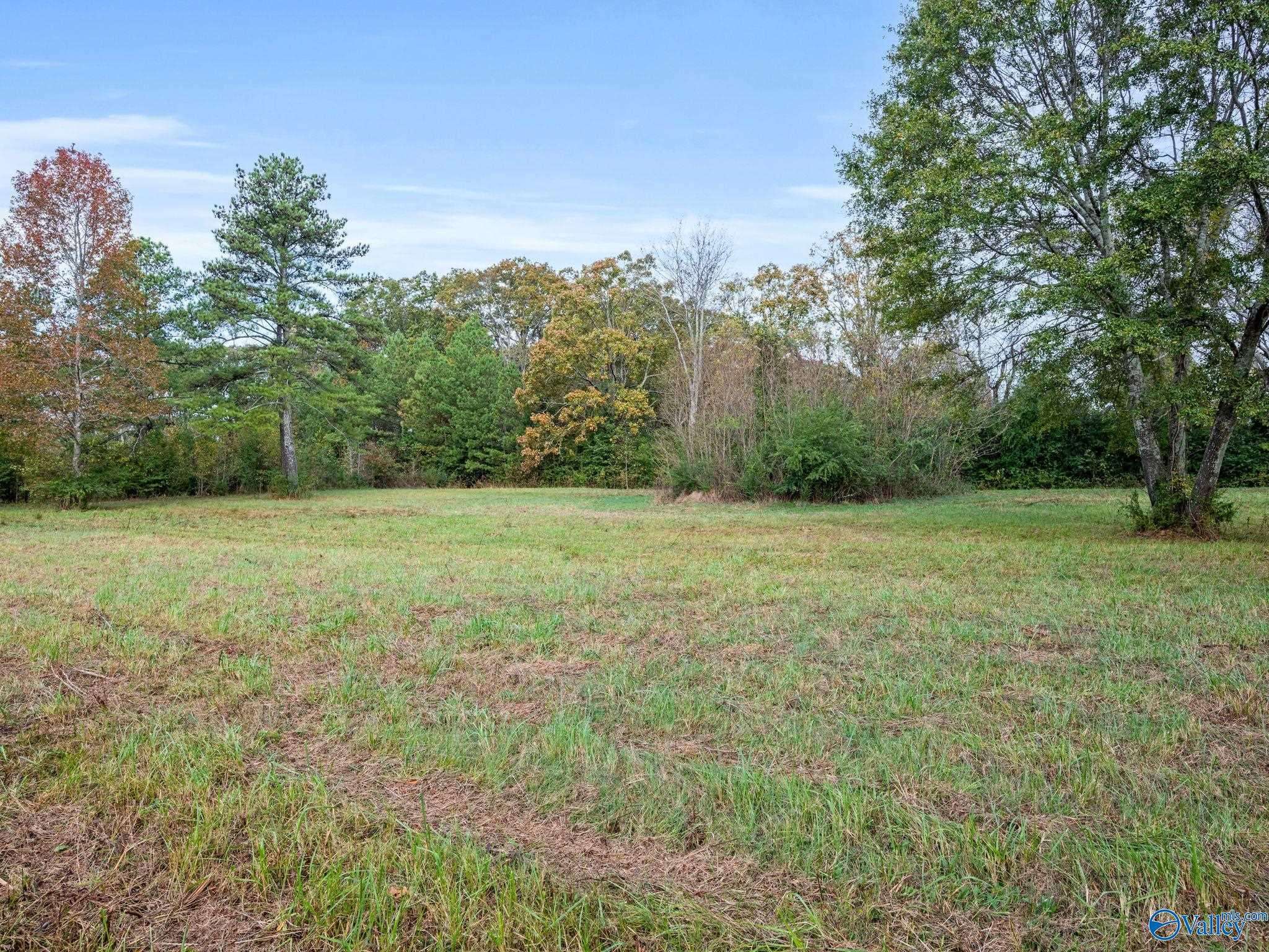 Rogersville, AL 35652,Tract 1 County Road 165