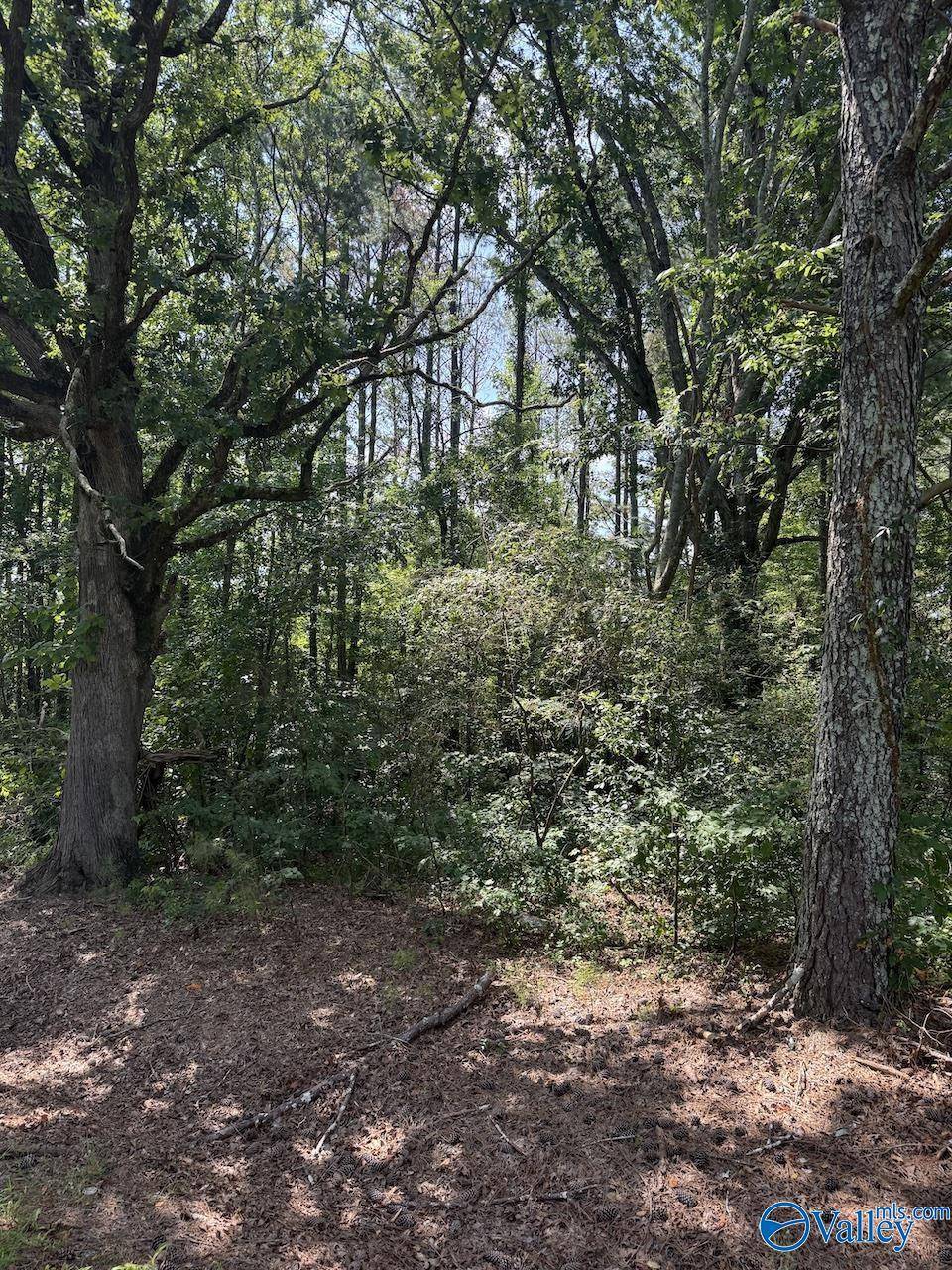 Boaz, AL 35956,1 Shady Grove Road