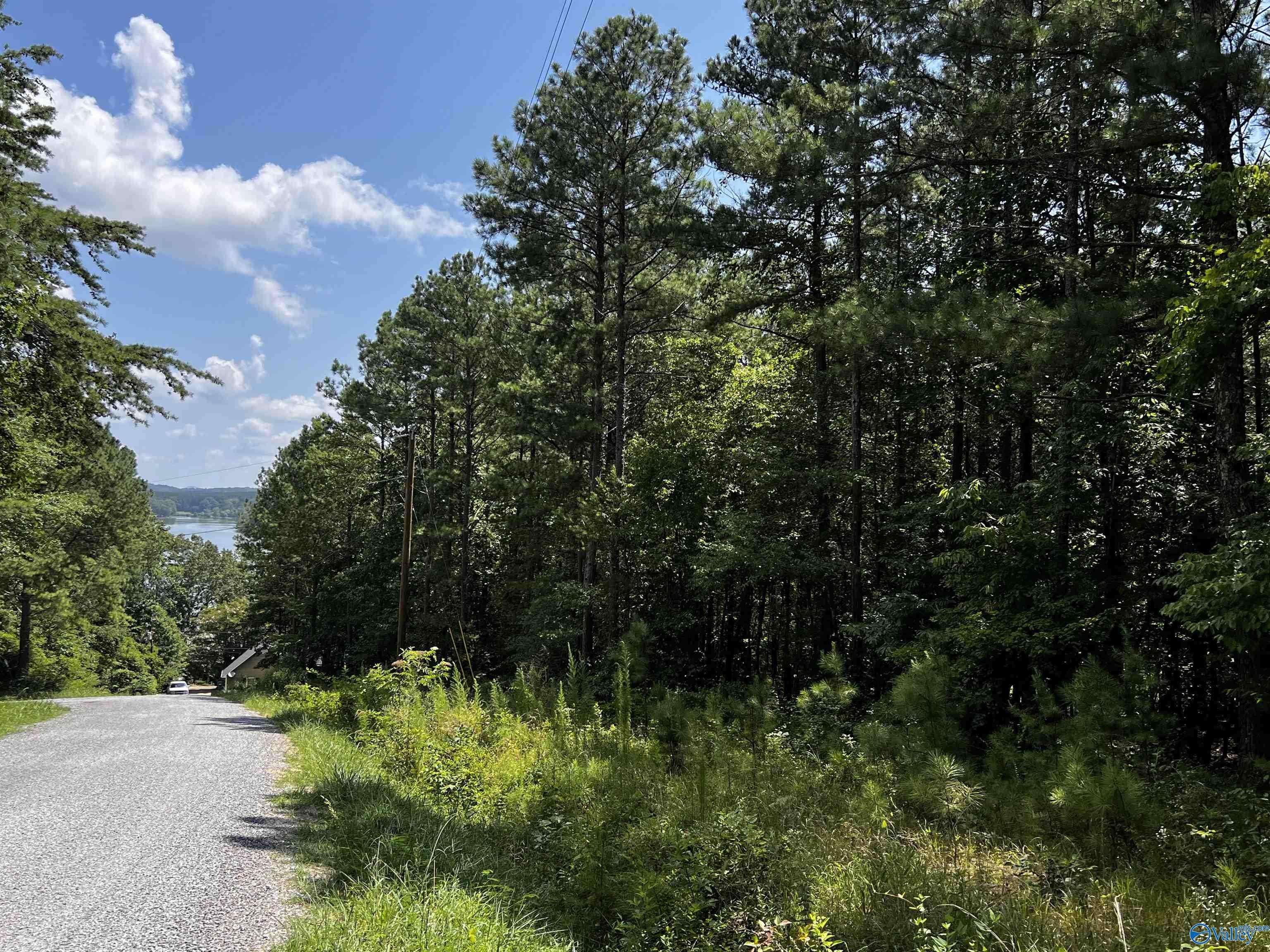 Leesburg, AL 35983,1.71 Acres County Road 592