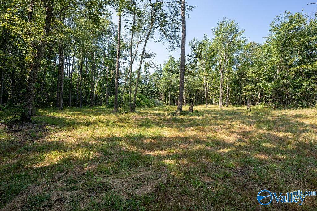 Flat Rock, AL 35966,21.4 County Road 14