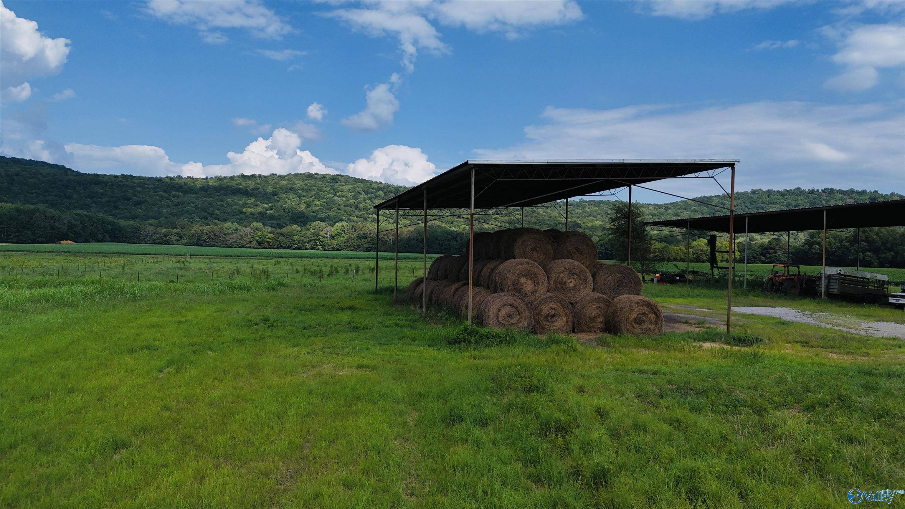 Stevenson, AL 35772,15.21 Acres County Road 55