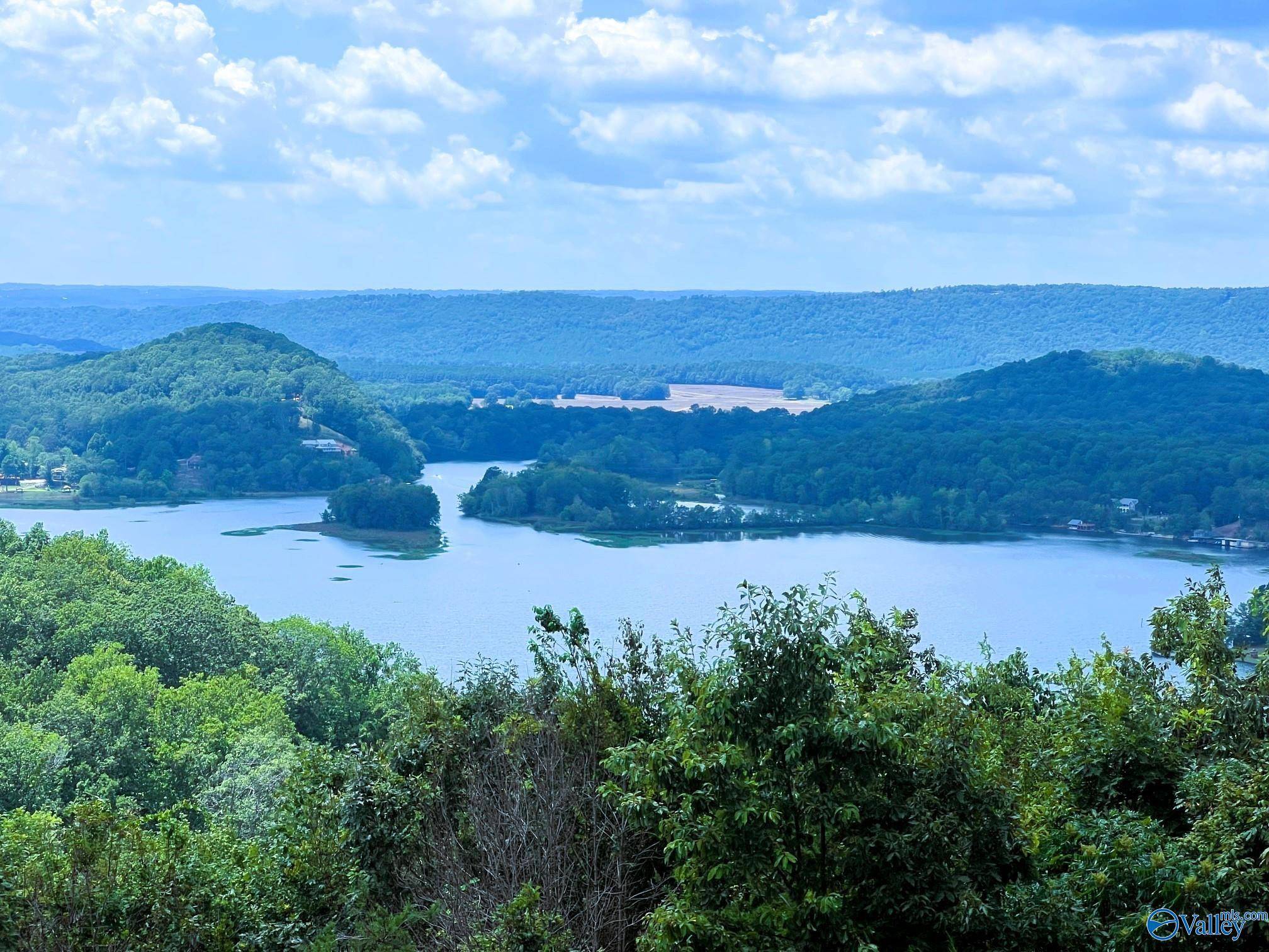 Cedar Bluff, AL 35959,LOT 210 County Road 767