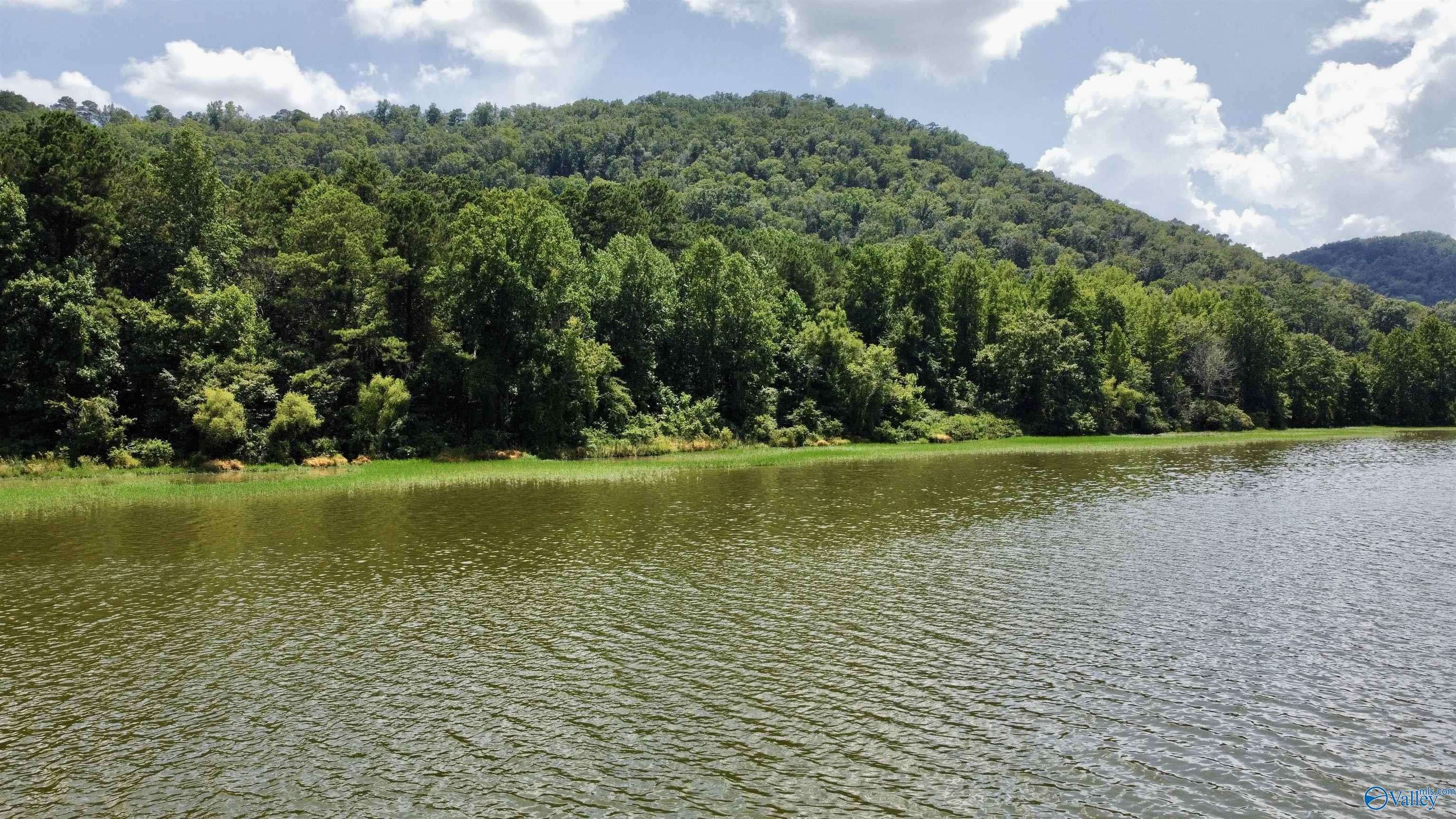 Ashville, AL 35953,148 acres County Road 21