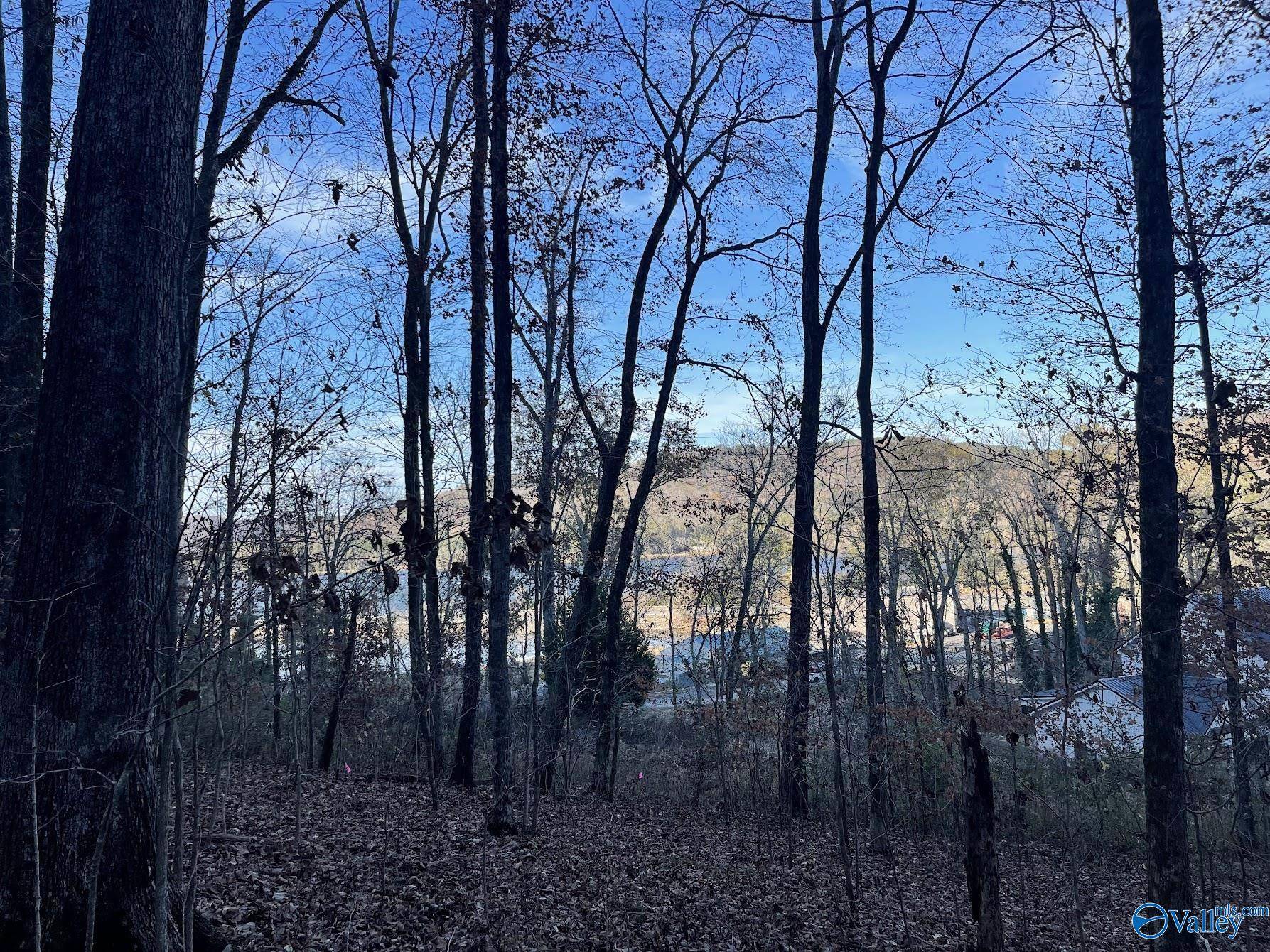 Grant, AL 35747,4.08 acres Mitchell Hollow Road