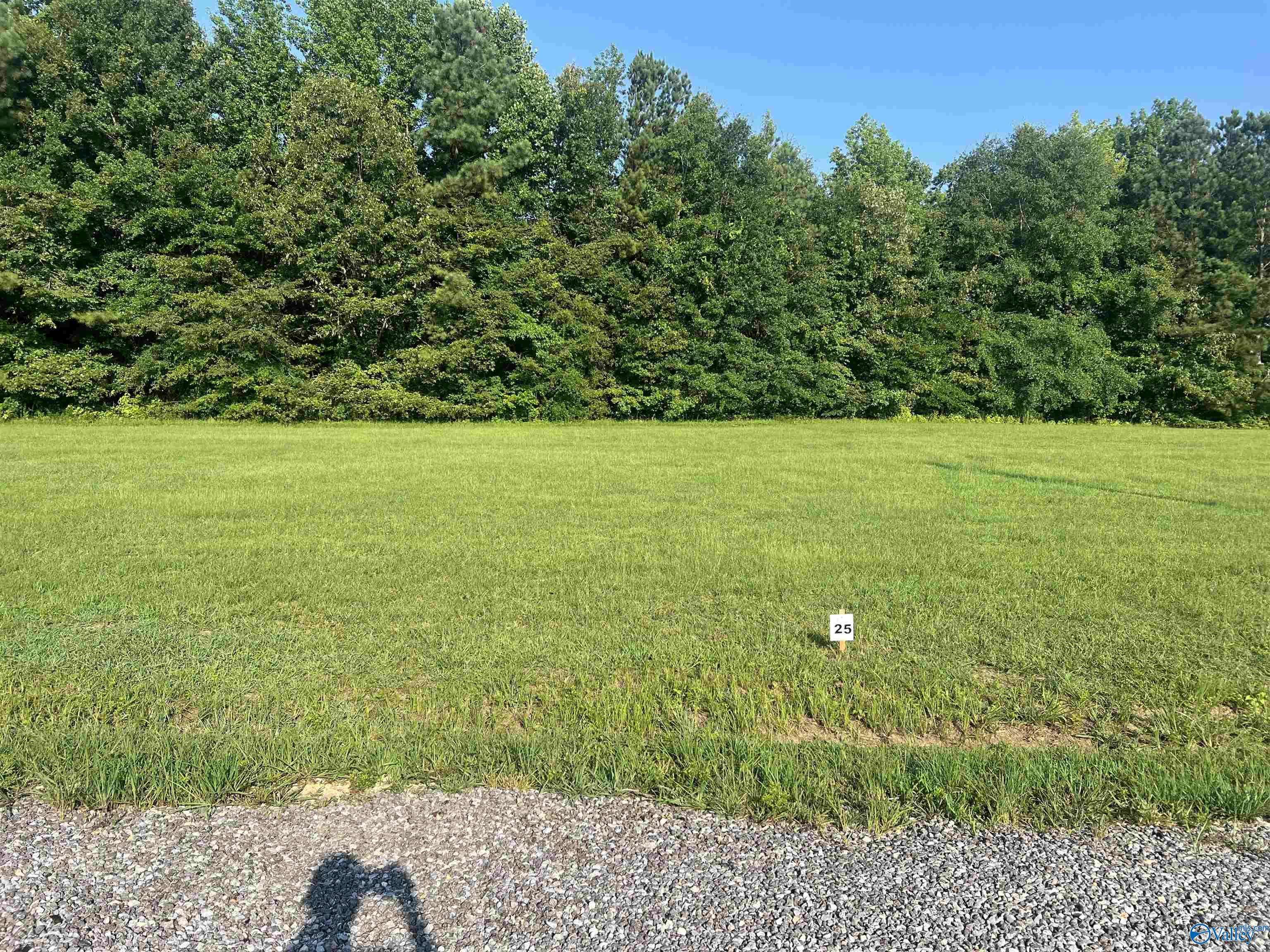 Cedar Bluff, AL 35959,Lot 25 County Road 1057