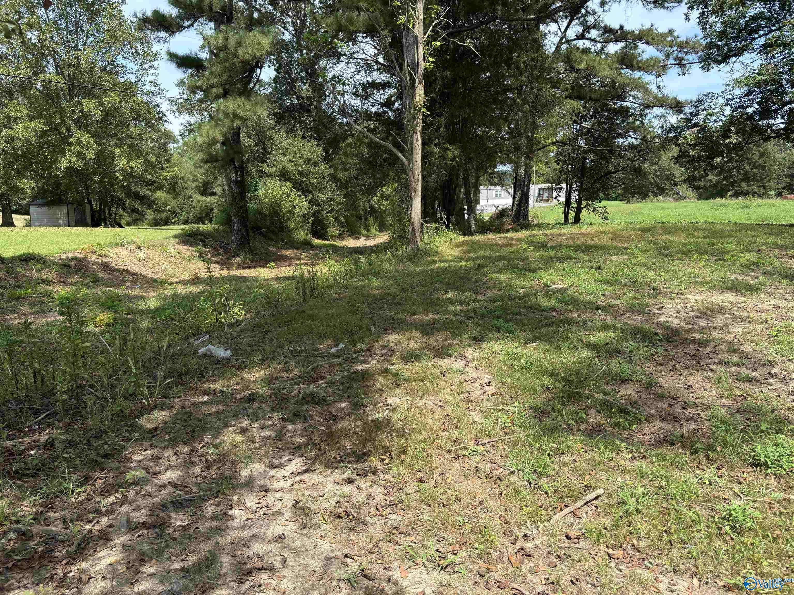 Albertville, AL 35950,1.52 ac Needmore Road