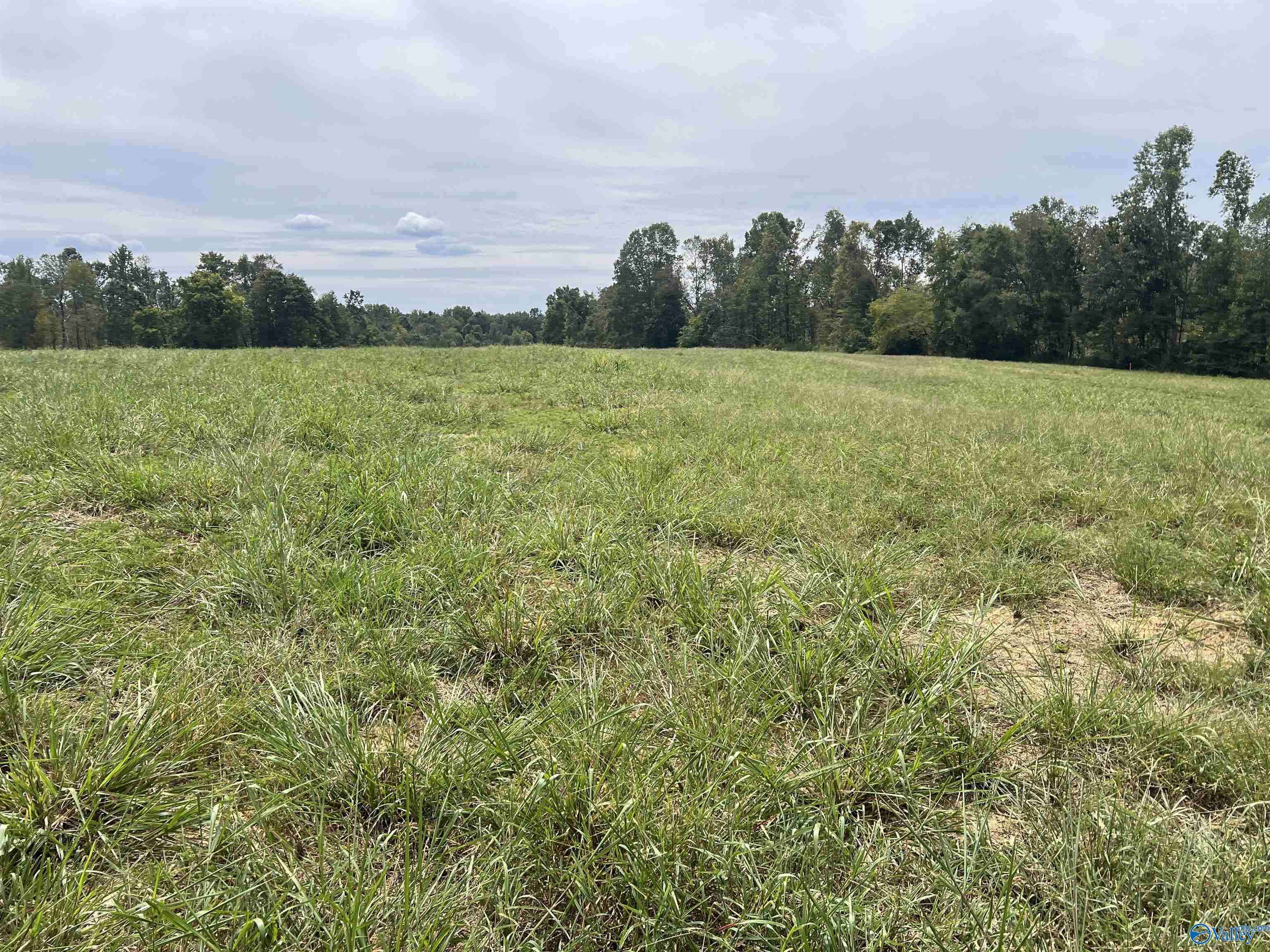 Athens, AL 35614,11 Holland Road