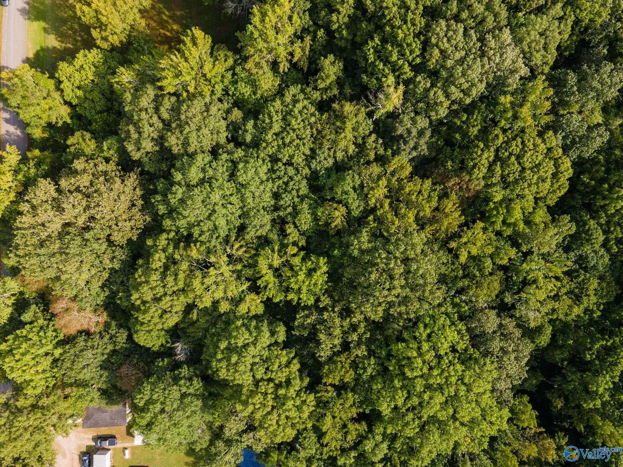 New Market, AL 35761,5.89 acres Joe Quick Road