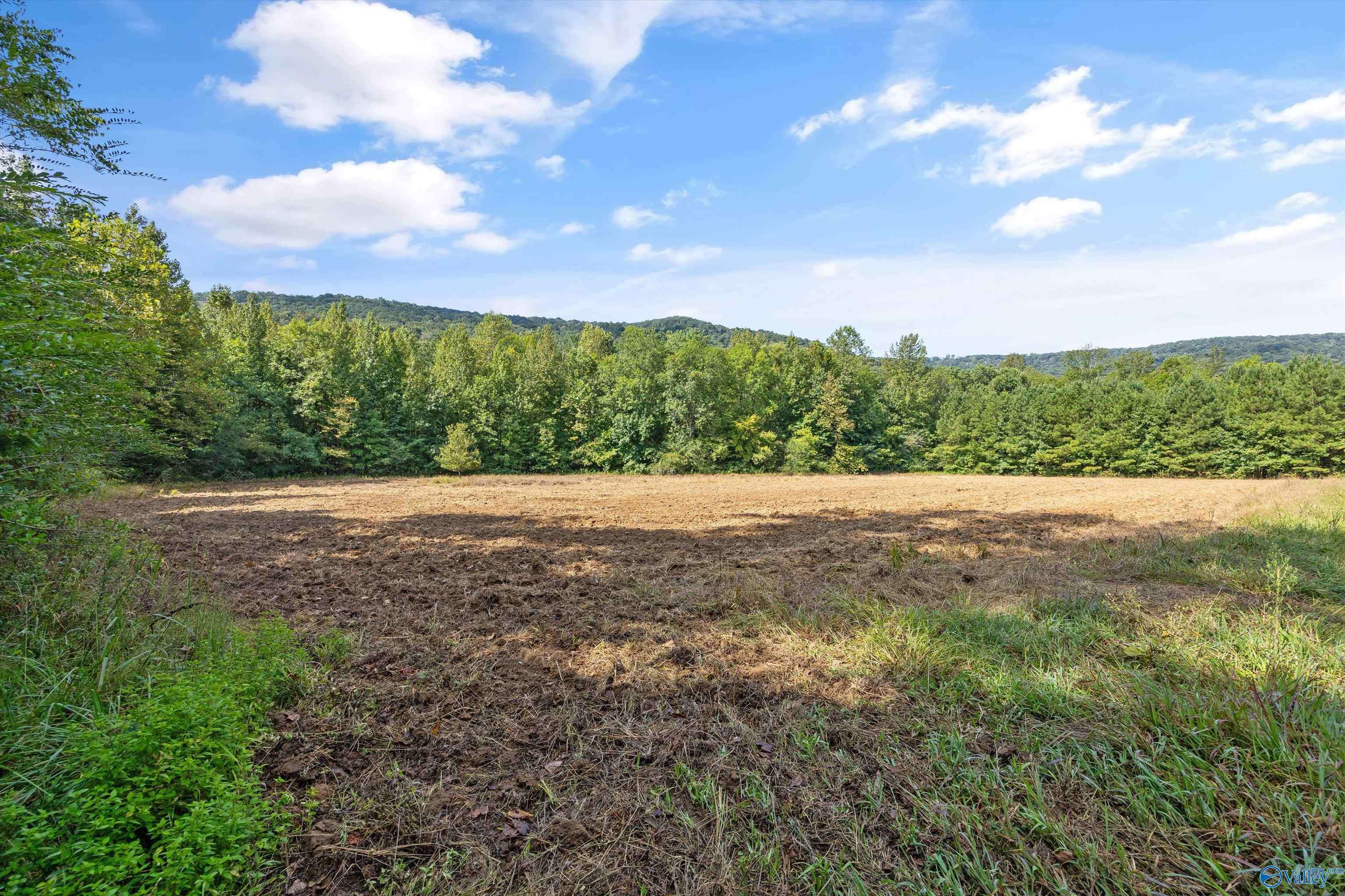 Hollytree, AL 35751,3818 -5 County Road 4 #Tract 5