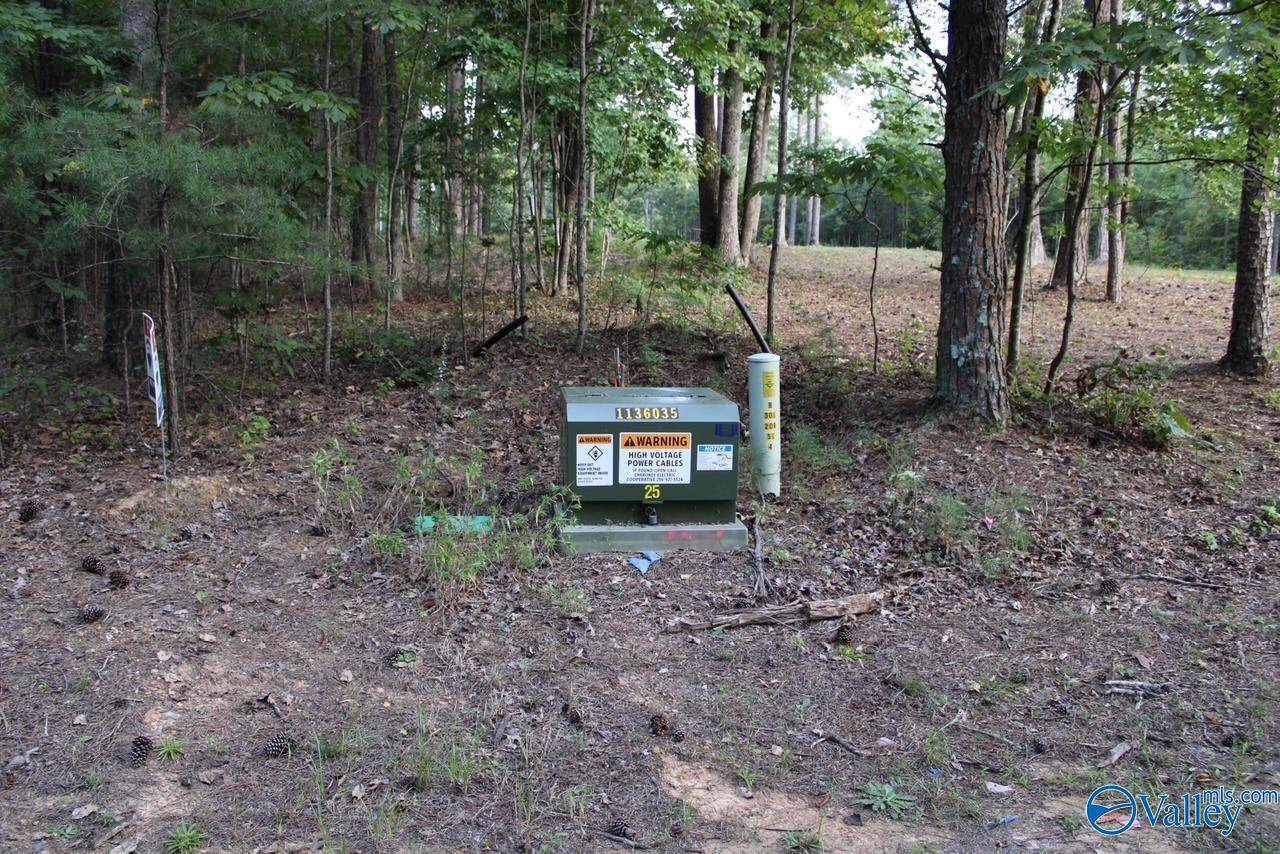Mentone, AL 35984,1805 County Road 103 #Lot 46