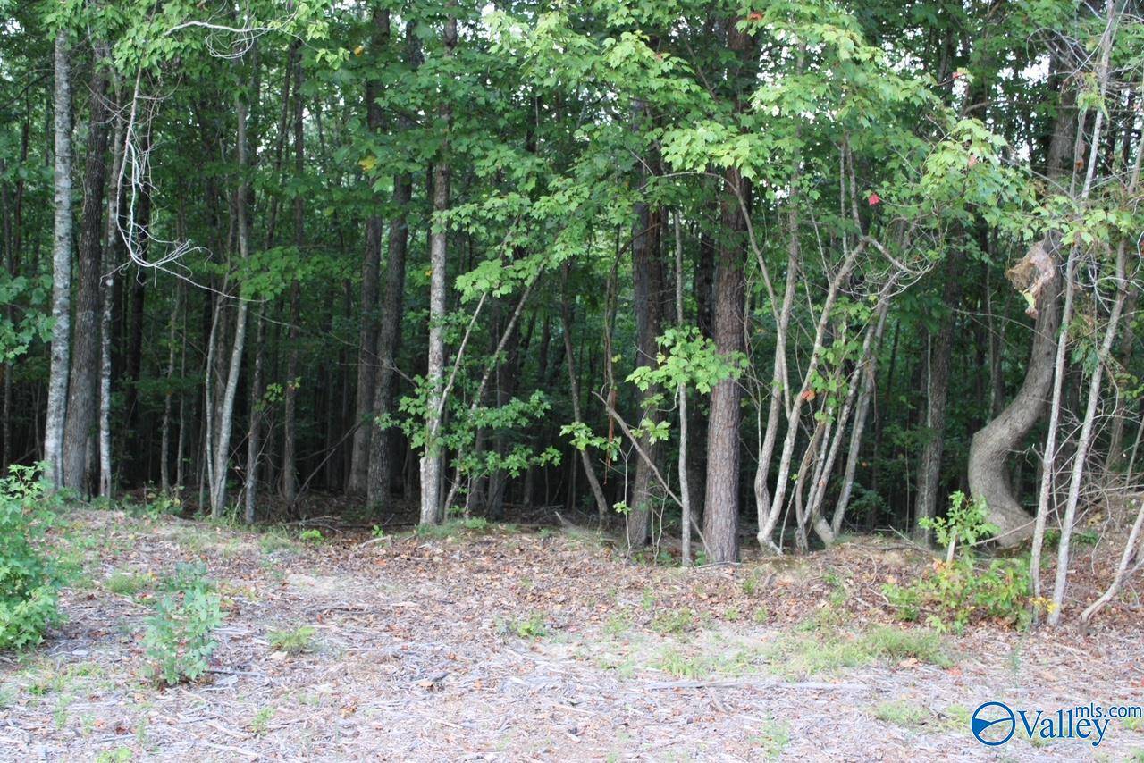 Mentone, AL 35984,1805 County Road 103 #Lot 47
