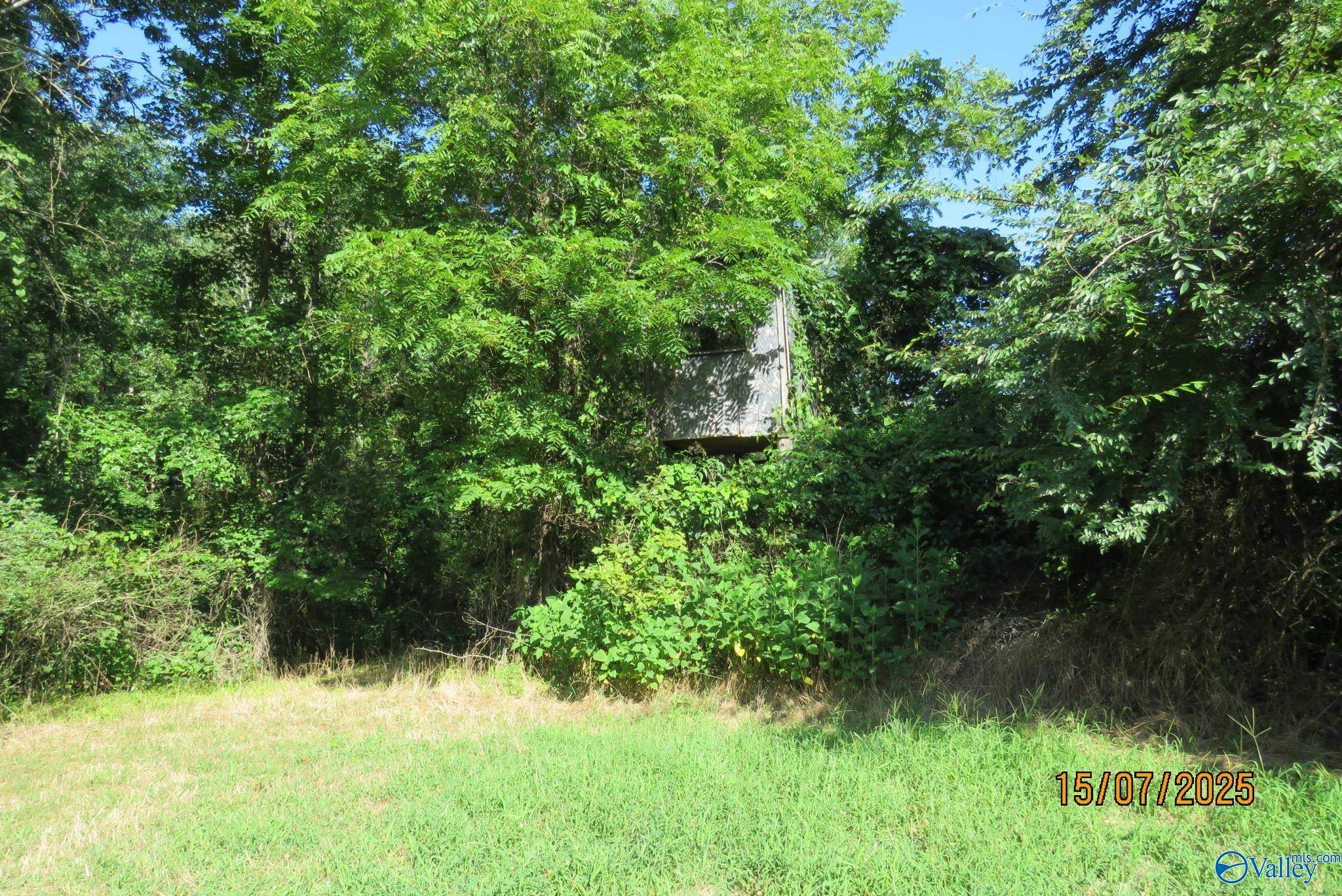 Grant, AL 35747,304A Riverview Drive